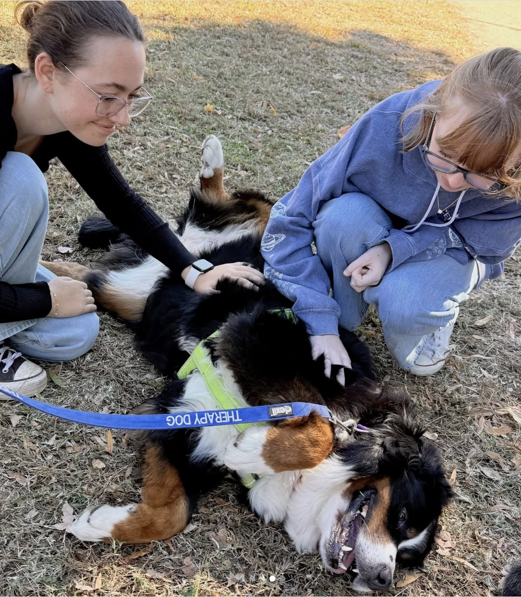 Two young women petting a happy Bernese Mountain Dog lying on the ground, outdoors.