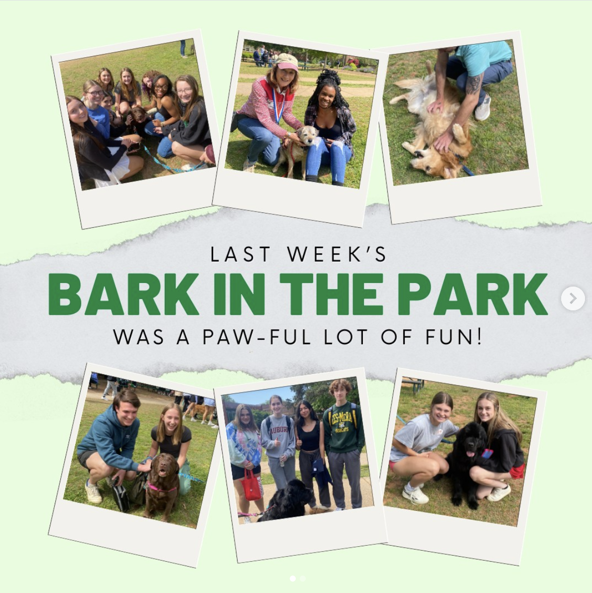 A collage of six photos of people and dogs at a park, with a text overlay that says "Last week's Bark in the Park was a paw-ful lot of fun!" on a green background.