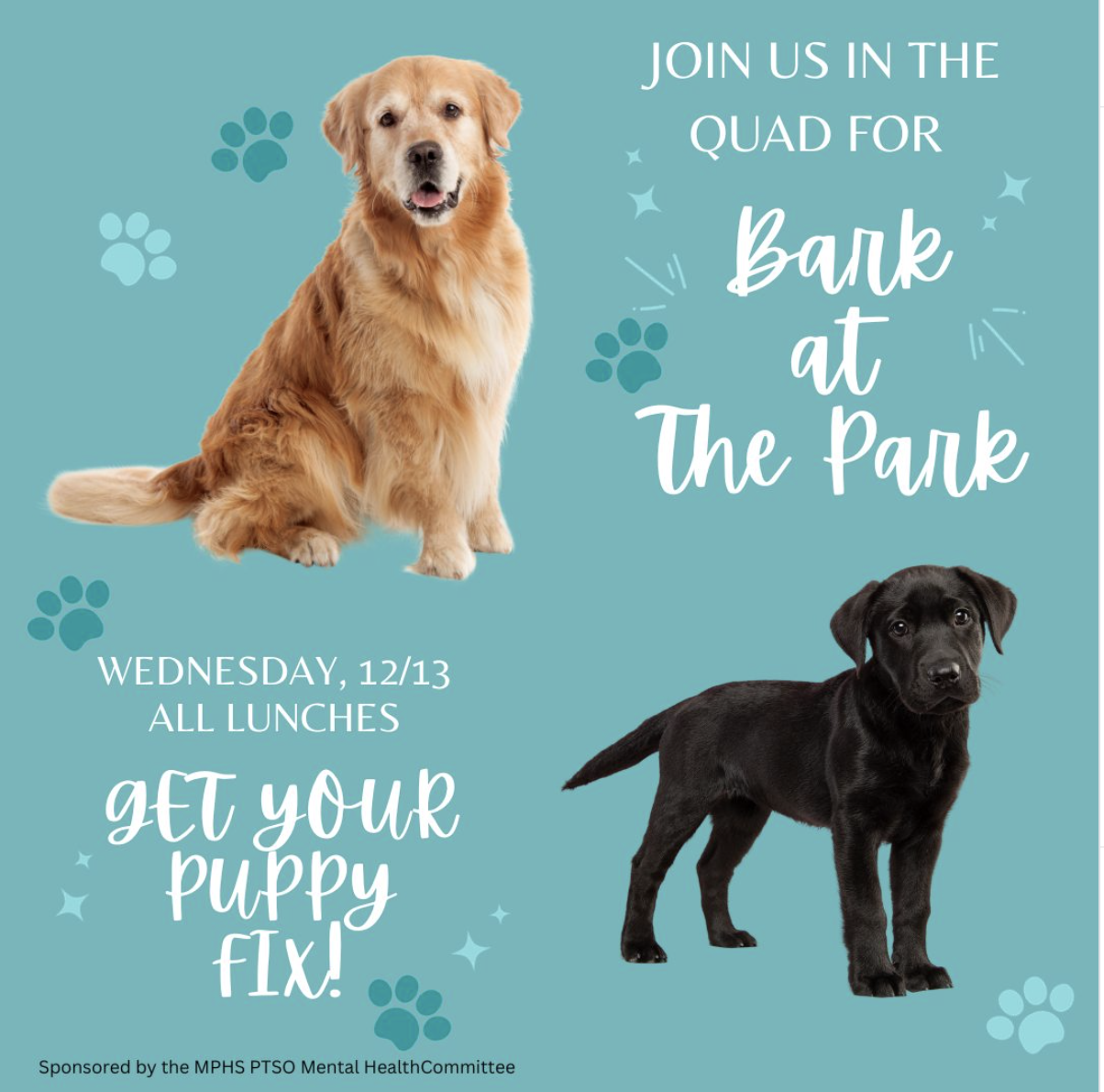 Flyer for an event called 'Bark at the Park' featuring a golden retriever and a black puppy on a teal background with paw print graphics. Event details include date Wednesday, 12/13, and all lunches are involved, with a slogan 'Get Your Puppy Fix!'.
