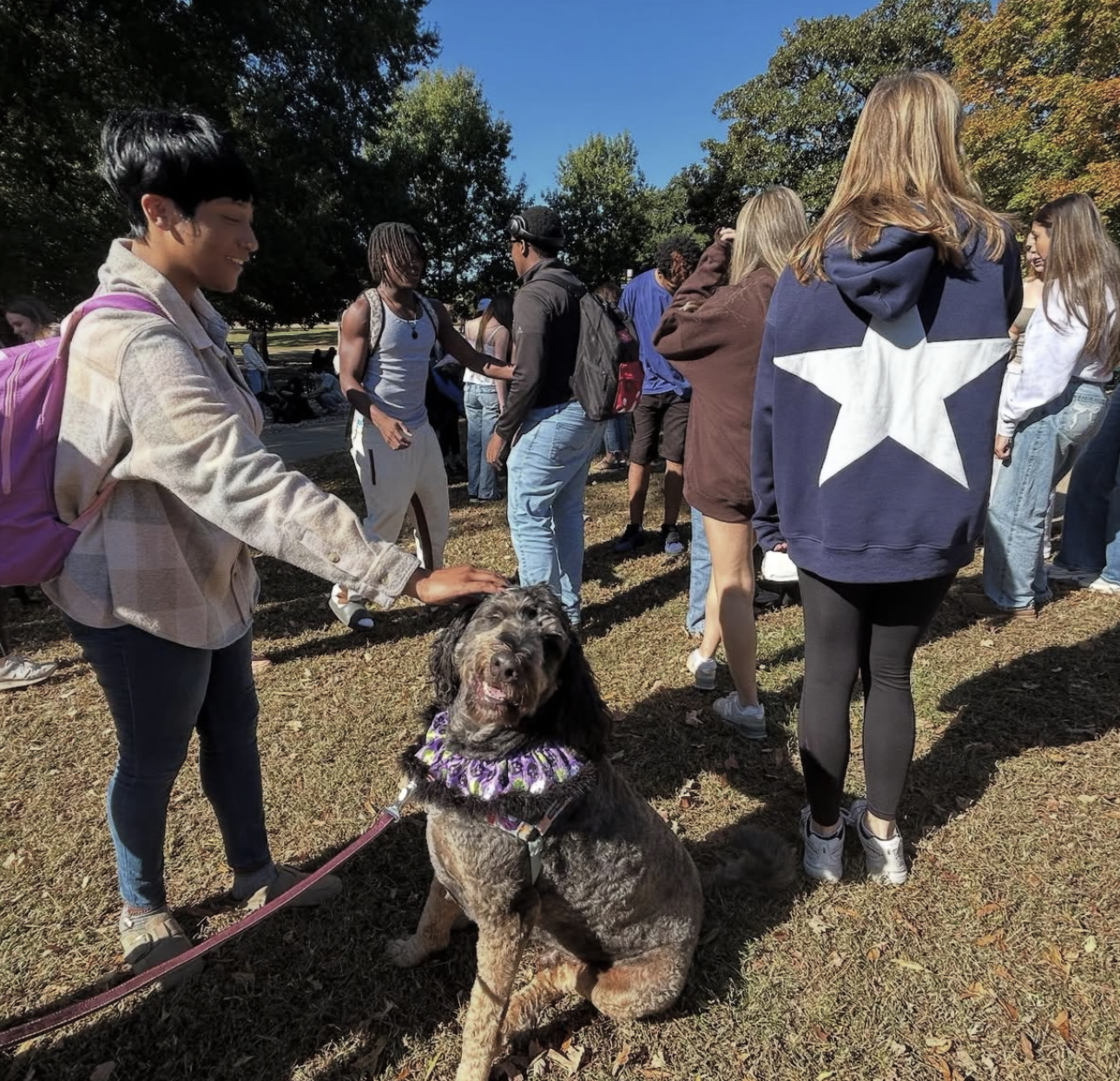 A group of people gathered outdoors in a park with trees and a blue sky, with a woman petting a brown and black dog sitting on the ground, wearing a purple and black bandana. The people are dressed casually, some talking, some looking elsewhere.