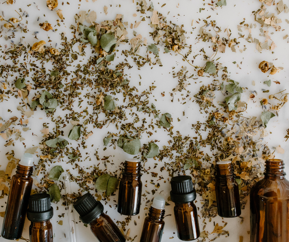 Welcome to Where Wellness Meets Wholeness