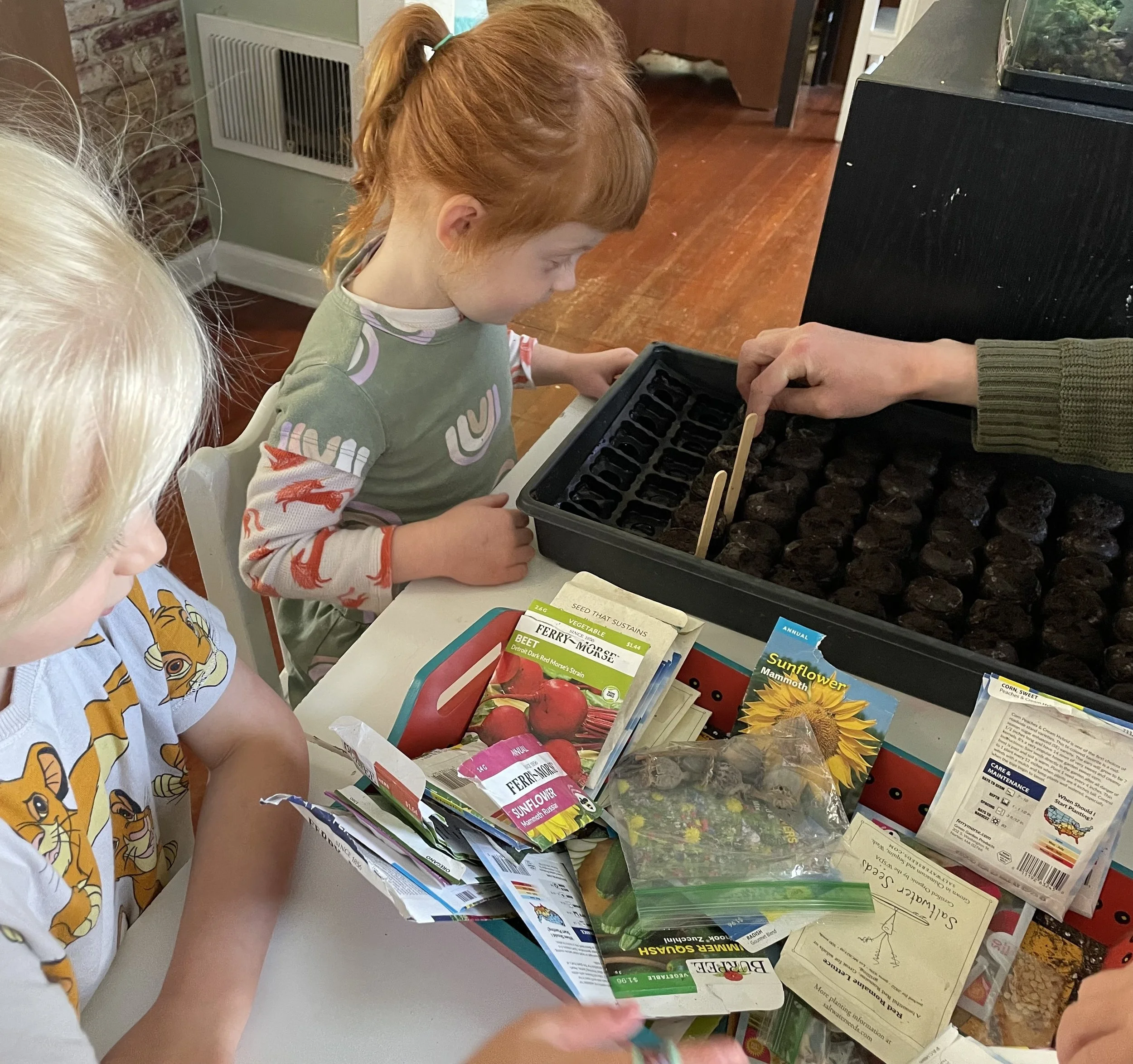 Two children planting seeds from packets of vegetable and sunflower seeds, with a tray of soil on the table.
