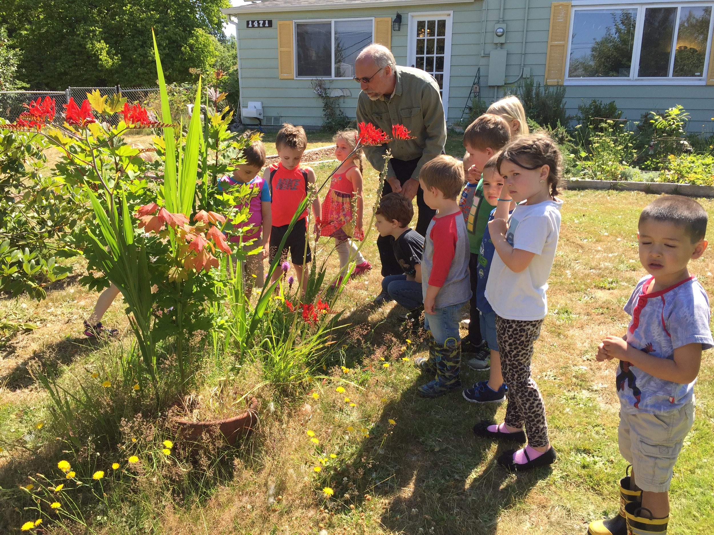Group of children and an adult observing flowers in a garden on a sunny day.