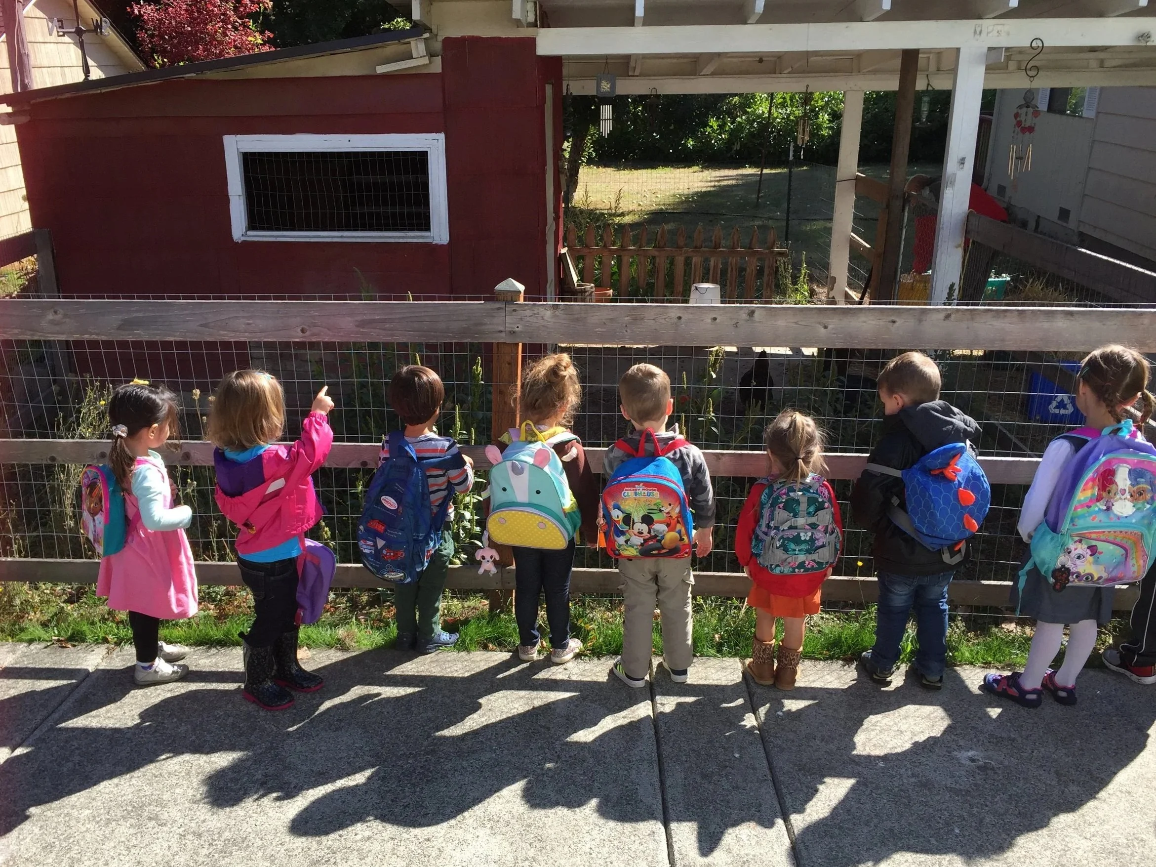 Line of young children standing outside, looking at a fenced chicken coop with a red barn in the background.