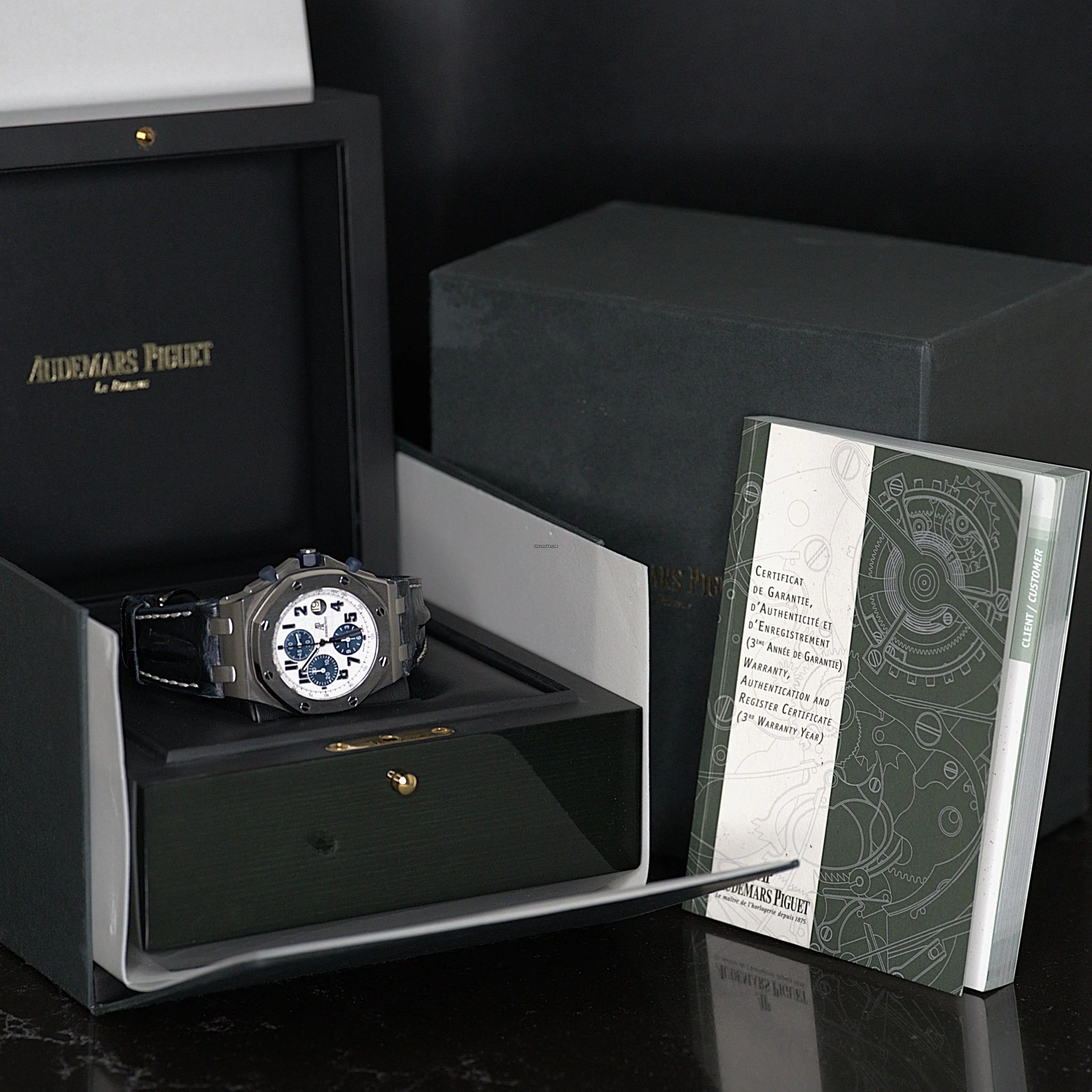 10_Audemars_Piguet_Royal_Oak_Offshore_Chronograph_-_N.jpg