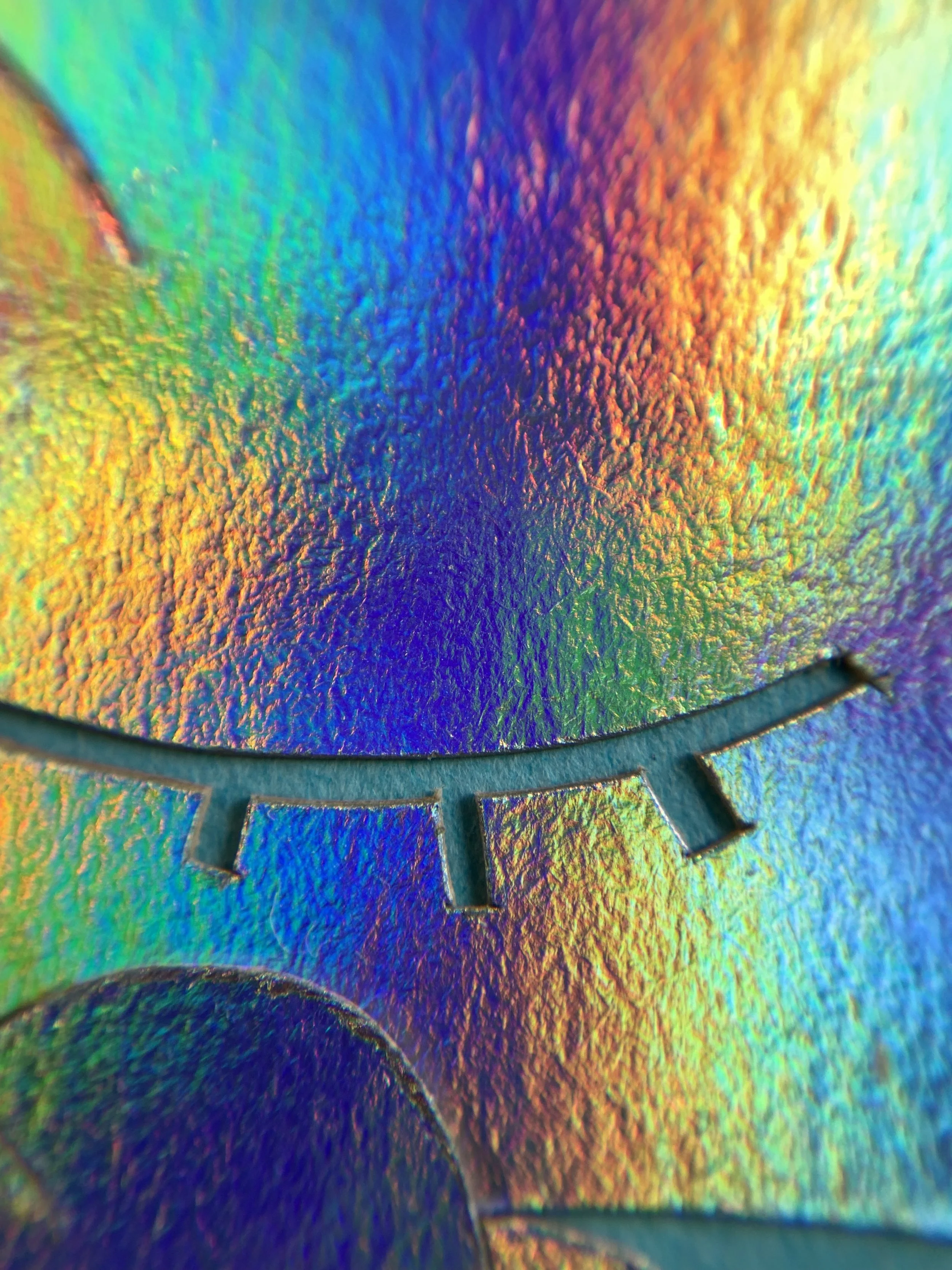 Photo Apr 05 2024, 9 30 09 AM.jpg