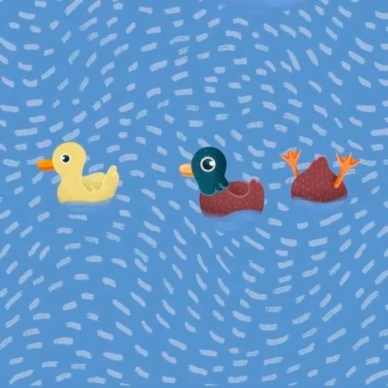 duck pond
