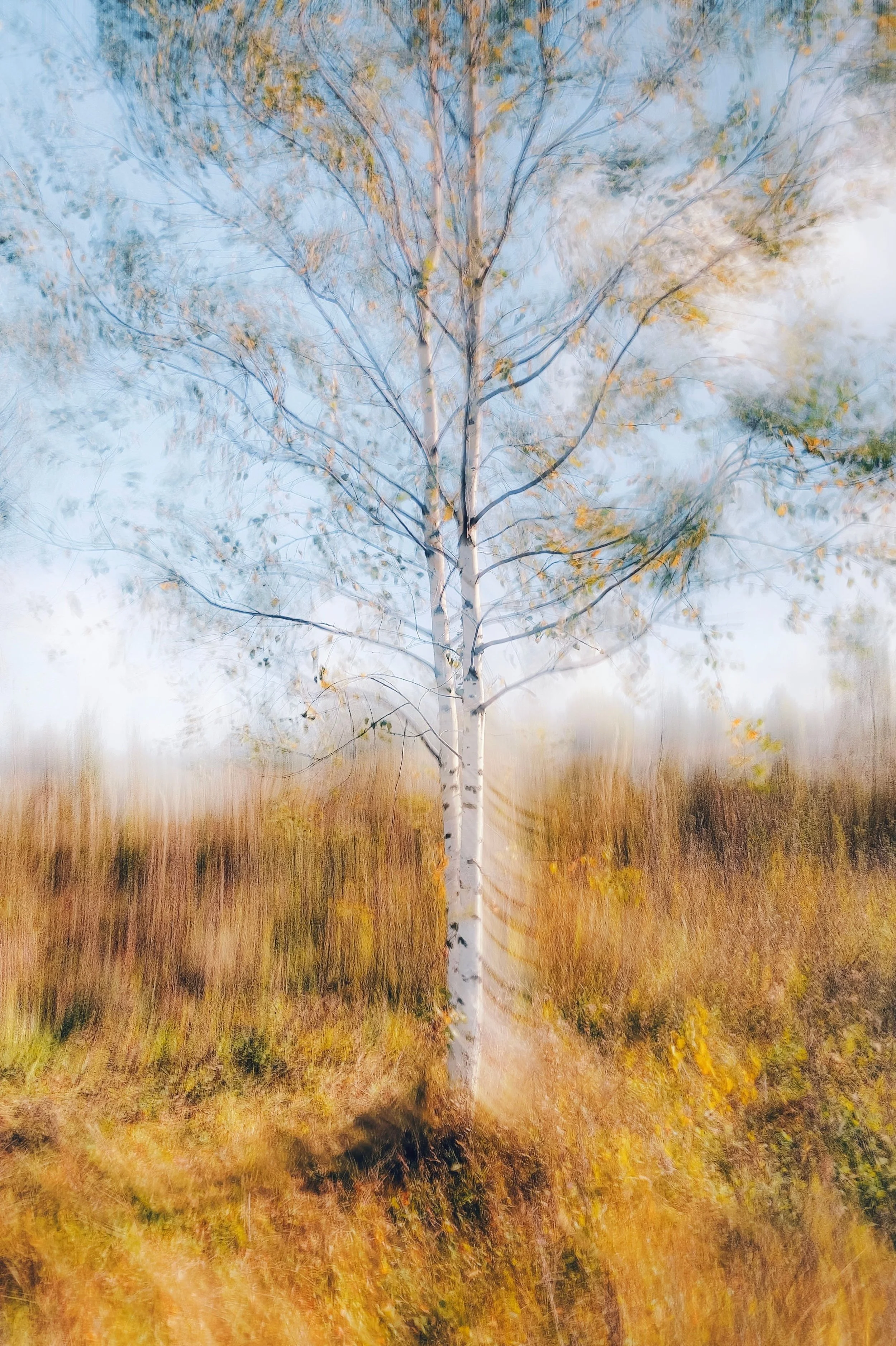 Grounding during Chaos