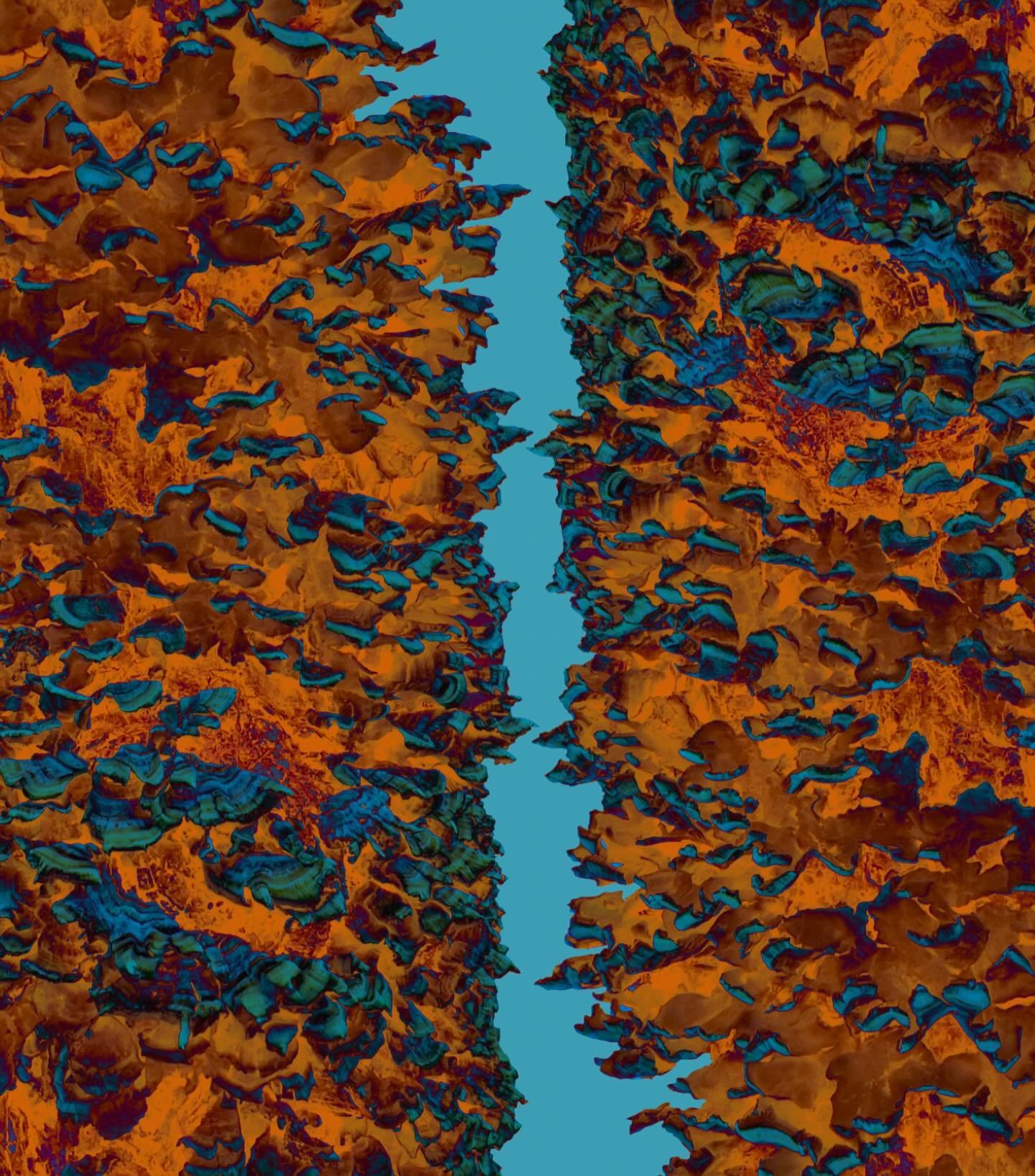 MEW! &ldquo;fractals 1 and 2&rdquo; inspired by nature, taking the outside in.