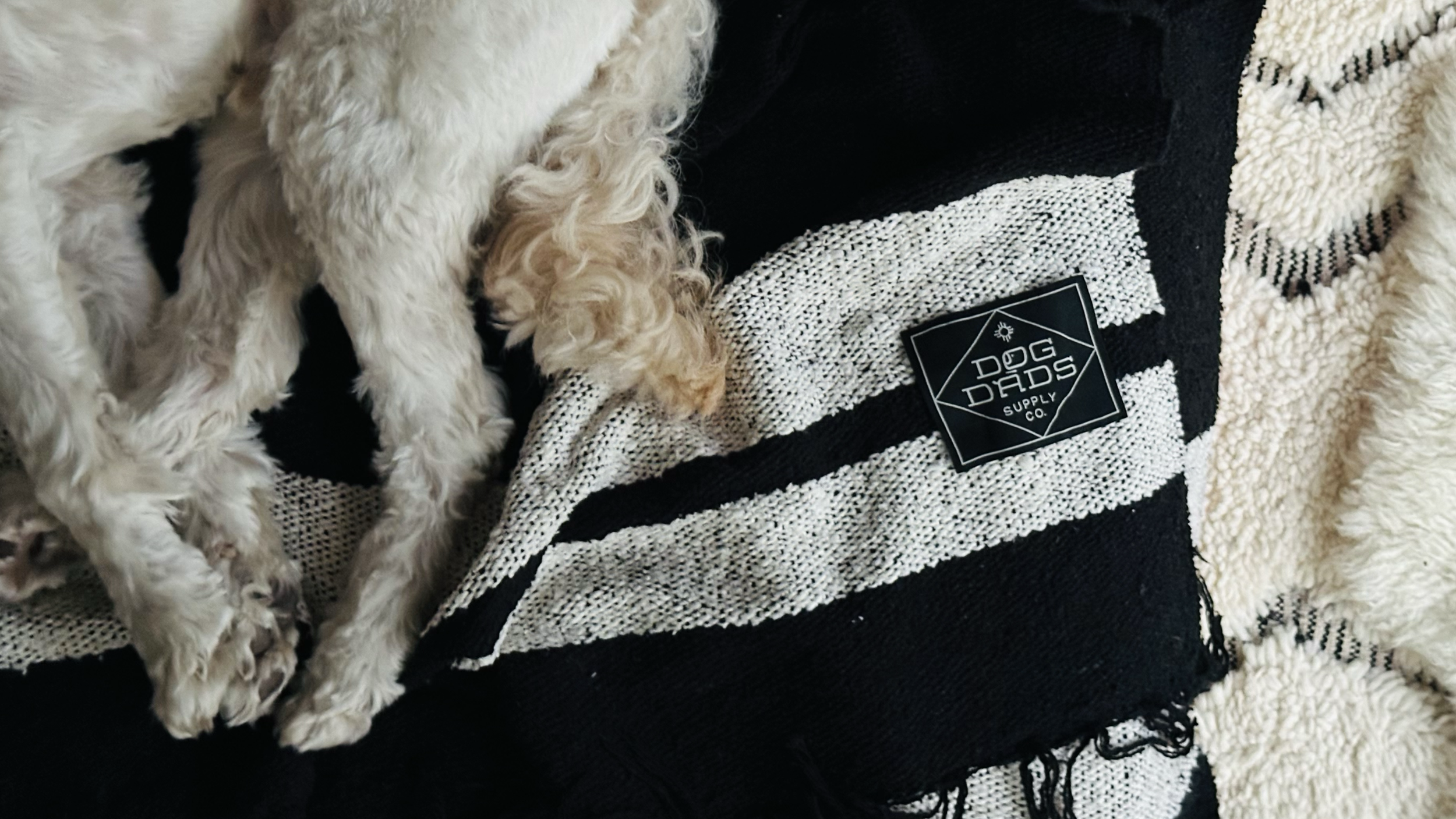 Screenshot 2025-11-27 at 9.30.08 AM.png