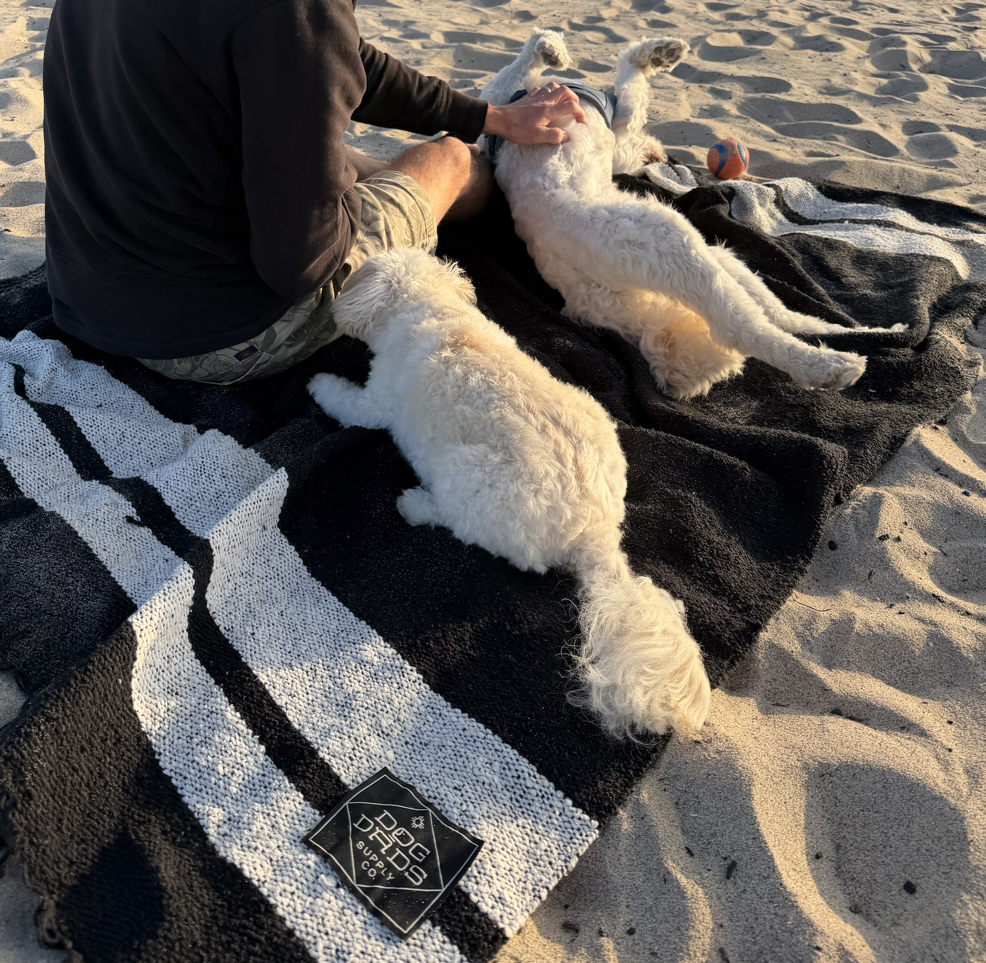 Screenshot 2025-11-23 at 2.20.12 PM.png