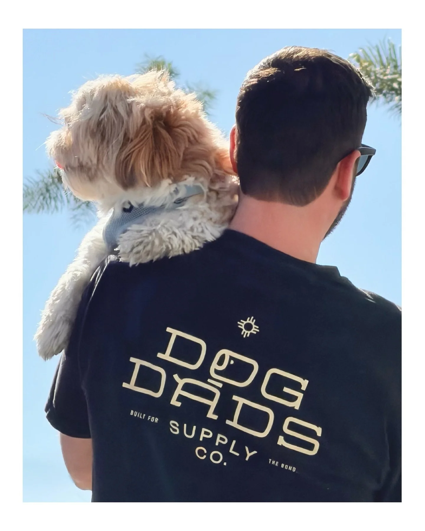 Give your dog dad the gift that shows you get him.

The Soft as Fluff Pocket Tee from future world famous Dog Dads Supply Co. Limited quantity. Order now for Father&rsquo;s Day. 

Link in bio.

#fathersday #gift #dogdad #dogsofinstagram