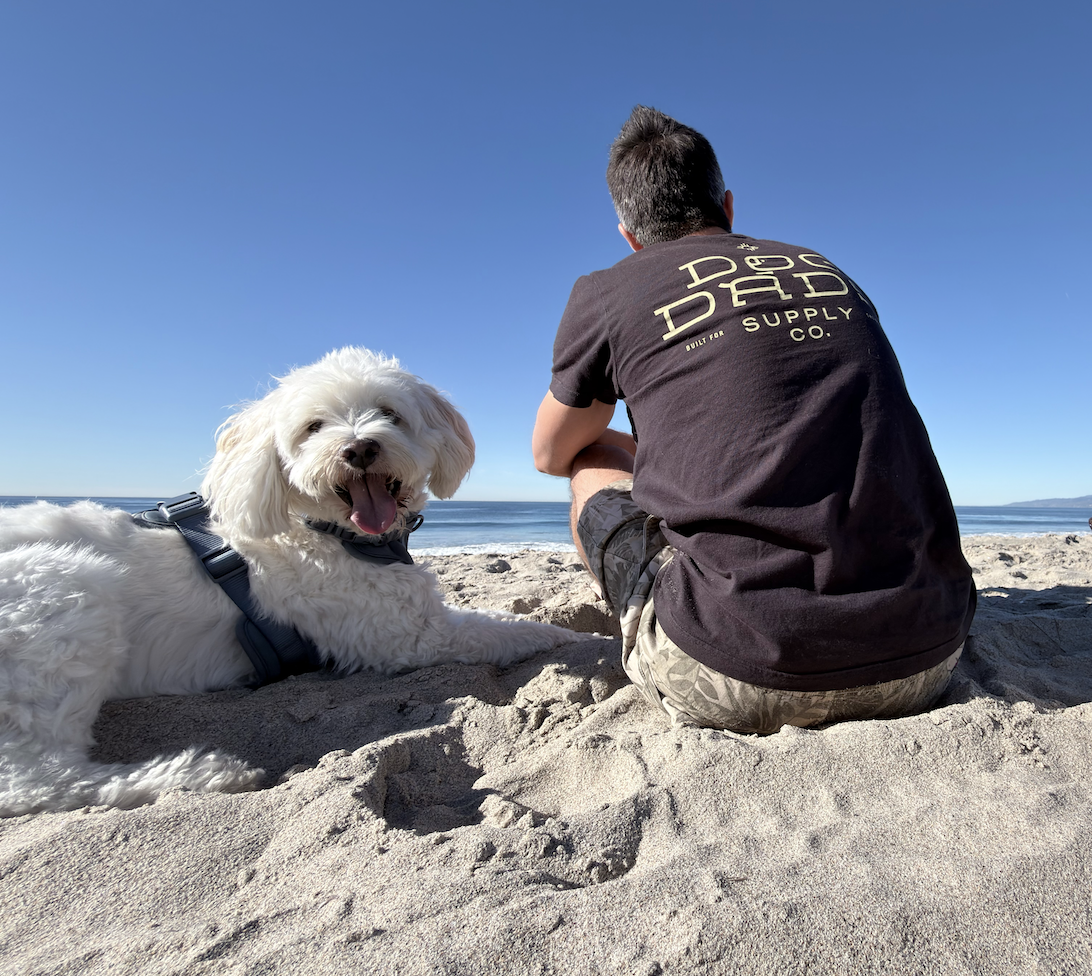 A man and a white dog sitting on a sandy beach facing the ocean, with clear blue sky overhead. The dog is lying down and smiling with its tongue out, wearing a harness. The man is sitting with his back to the camera, wearing a black t-shirt and camouflage shorts.