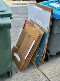 Cardboard pic.jpg