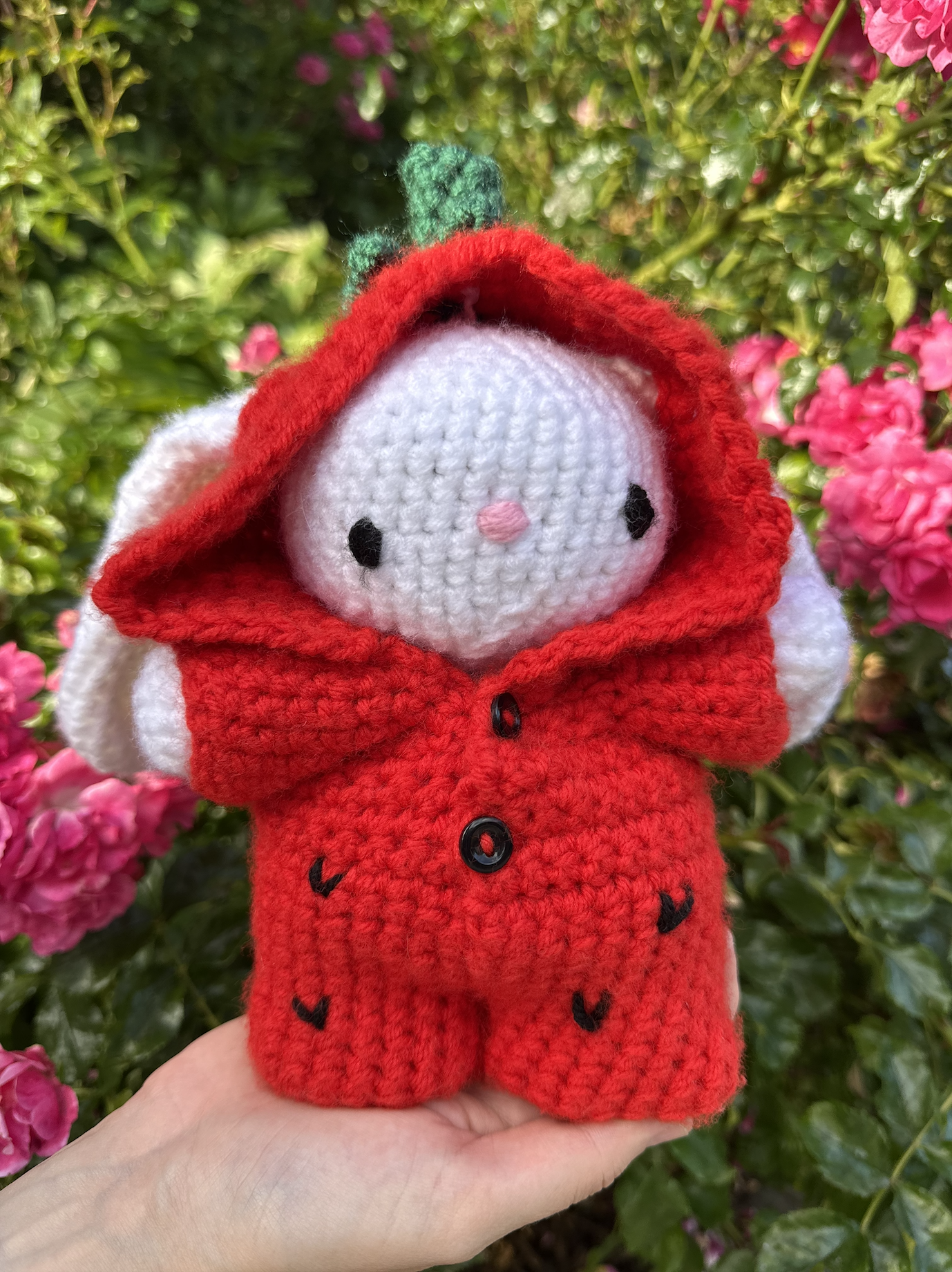 Screenshot 2025-01-18 at 7.02.59 PM.png