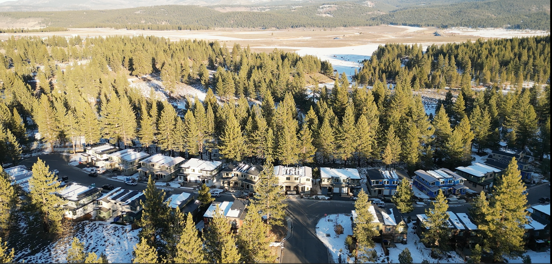 Aerial view of a residential neighborhood with snow-covered houses surrounded by tall pine trees and a forested area in the background.