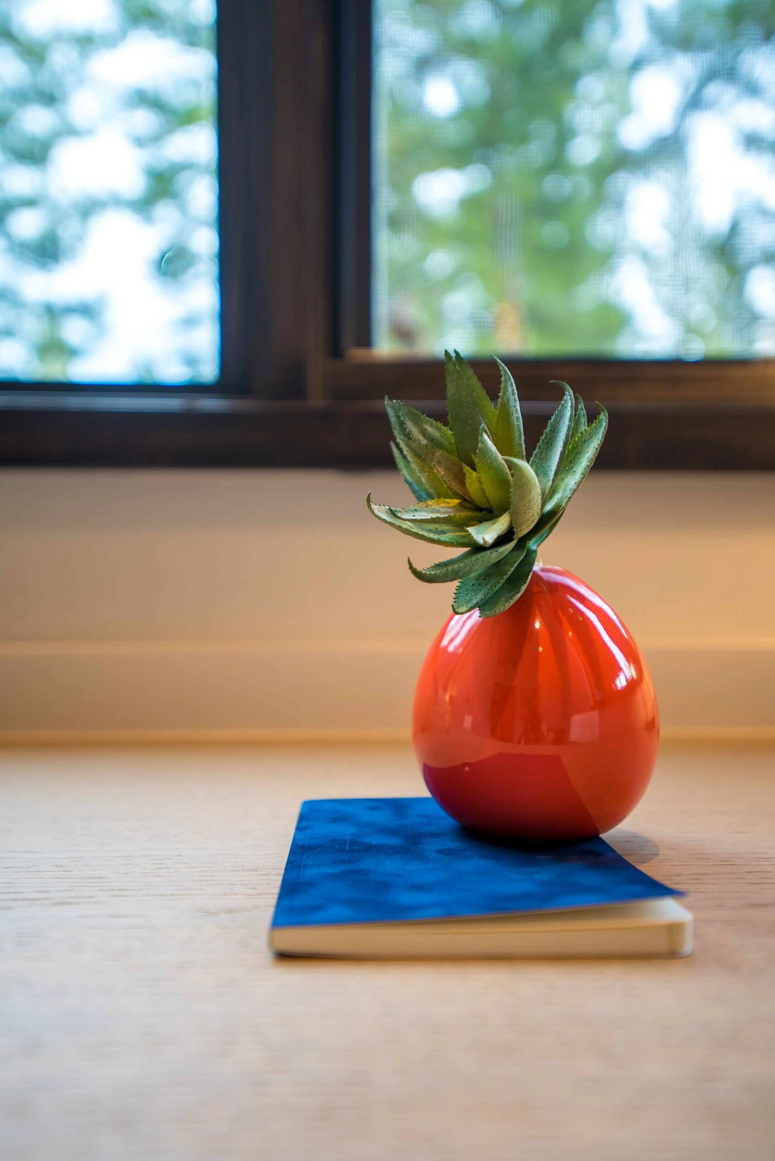 A succulent plant in a shiny red vase on top of a blue-covered notebook on a wooden table.