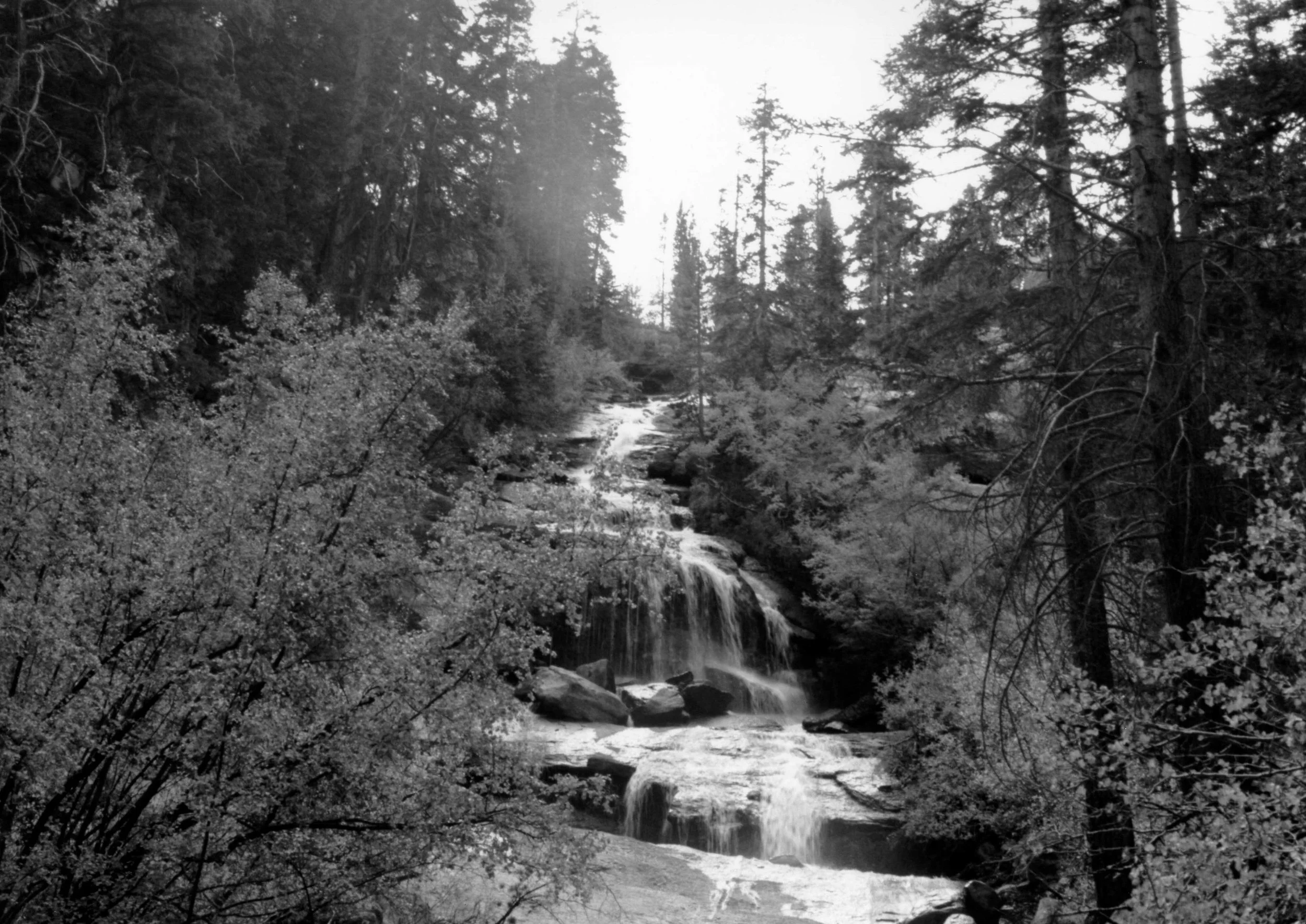 img117.jpg