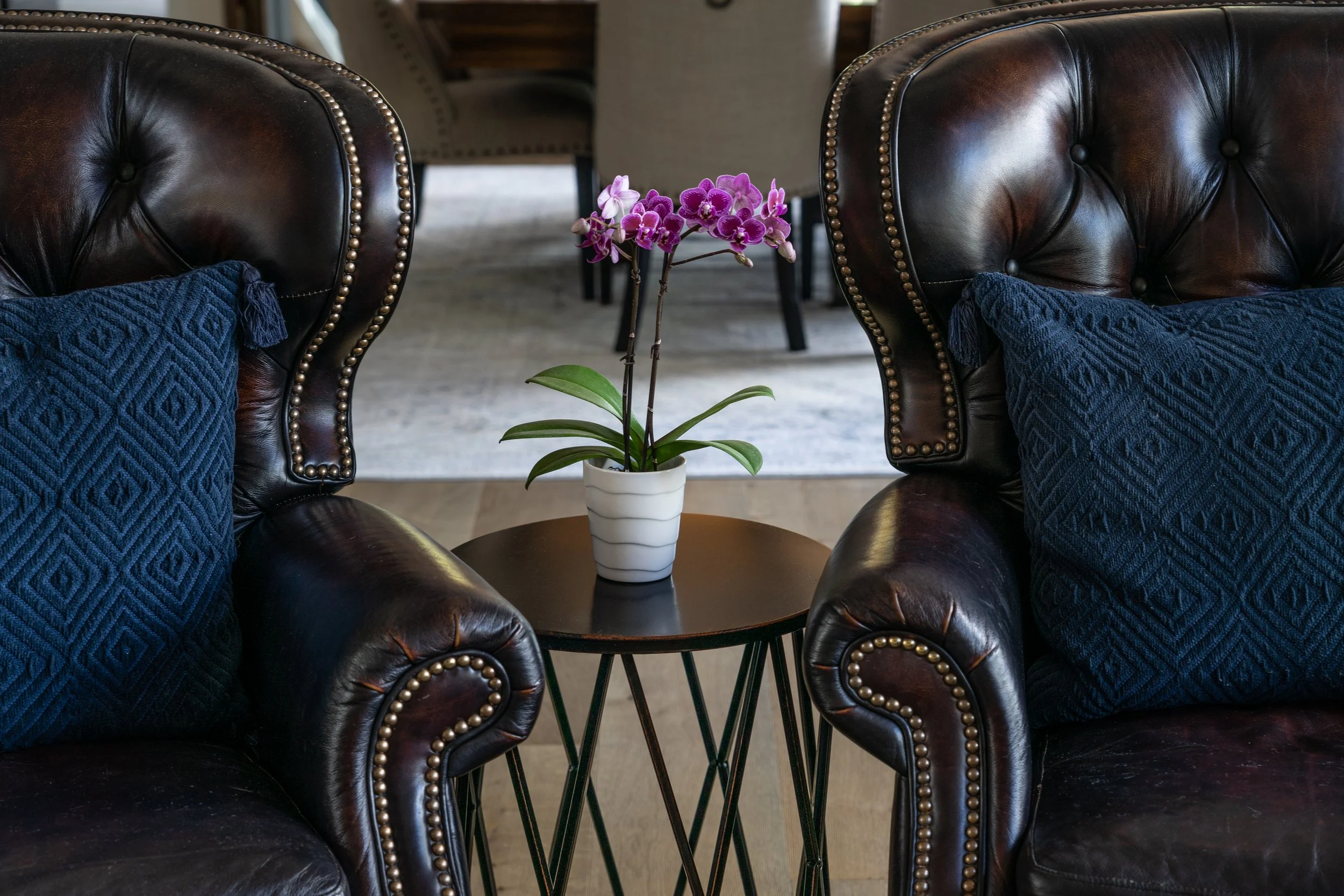 Two dark brown leather armchairs with decorative nailhead trim and blue textured pillows, separated by a small black round table with a white orchid in a white striped pot in the center.