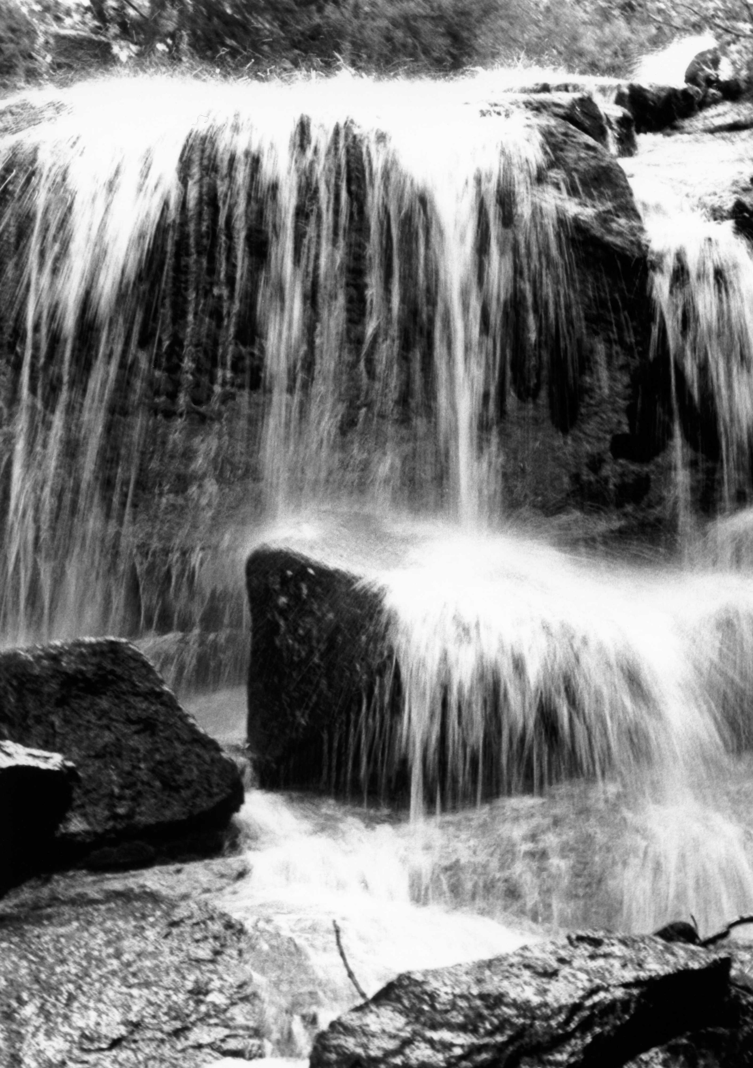 img116.jpg