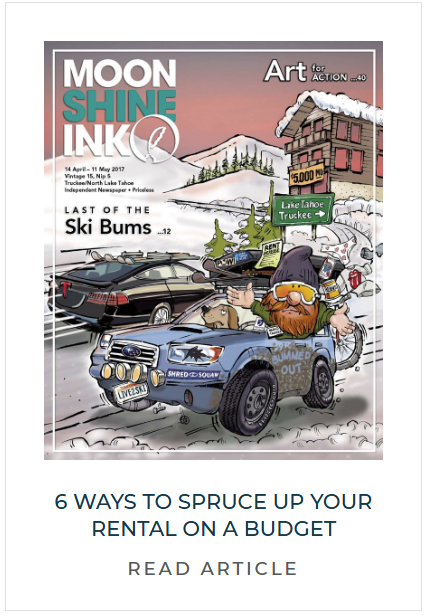 Magazine cover titled 'Moon Shine Ink' featuring a cartoon scene of a man with a beard and sunglasses driving a blue off-road vehicle labeled 'Shred Squash,' with other cars and snowy mountains in the background. The cover promotes art for action, ski bums, and tips on sprucing up rental properties on a budget.