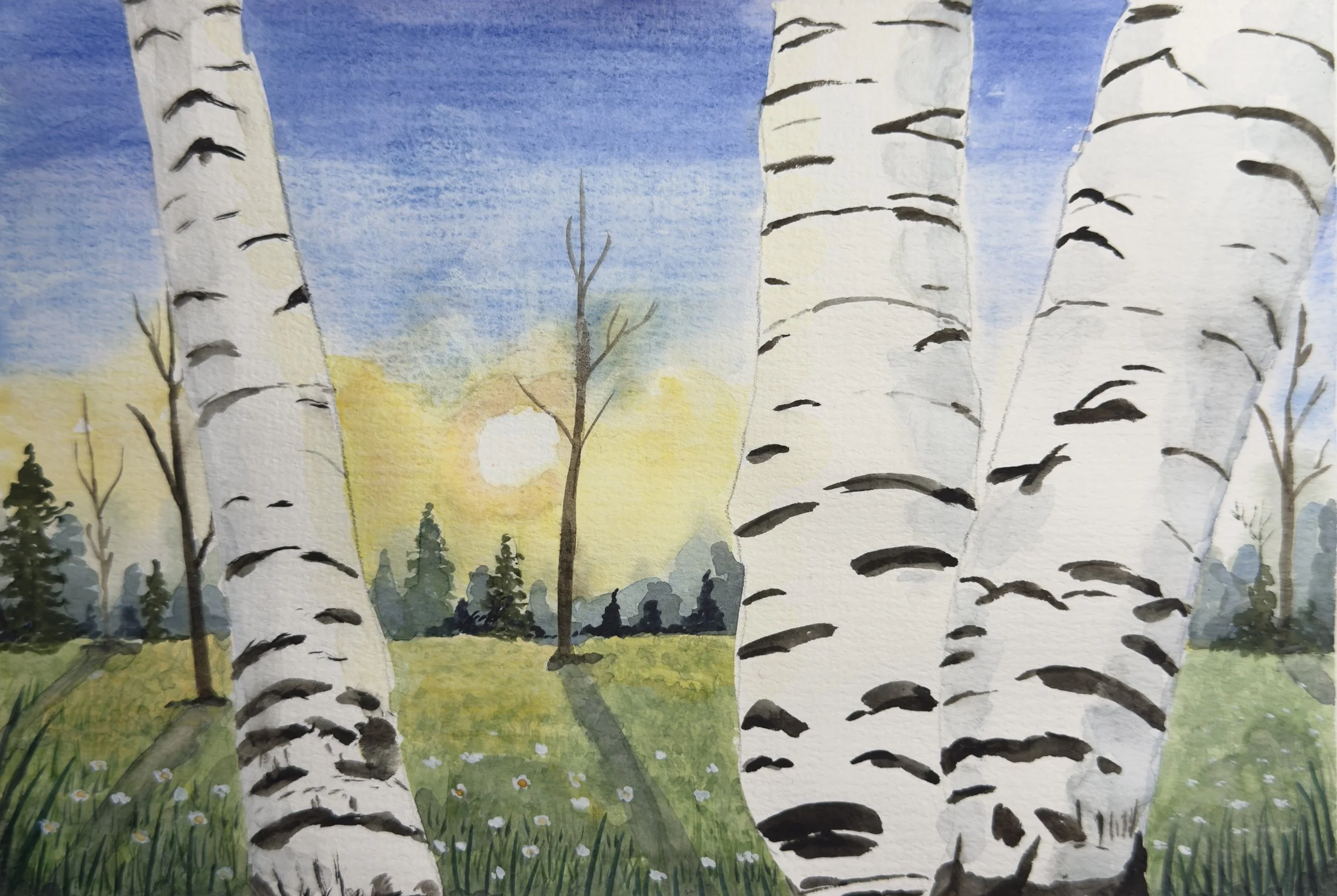 BIRCHLIGHT