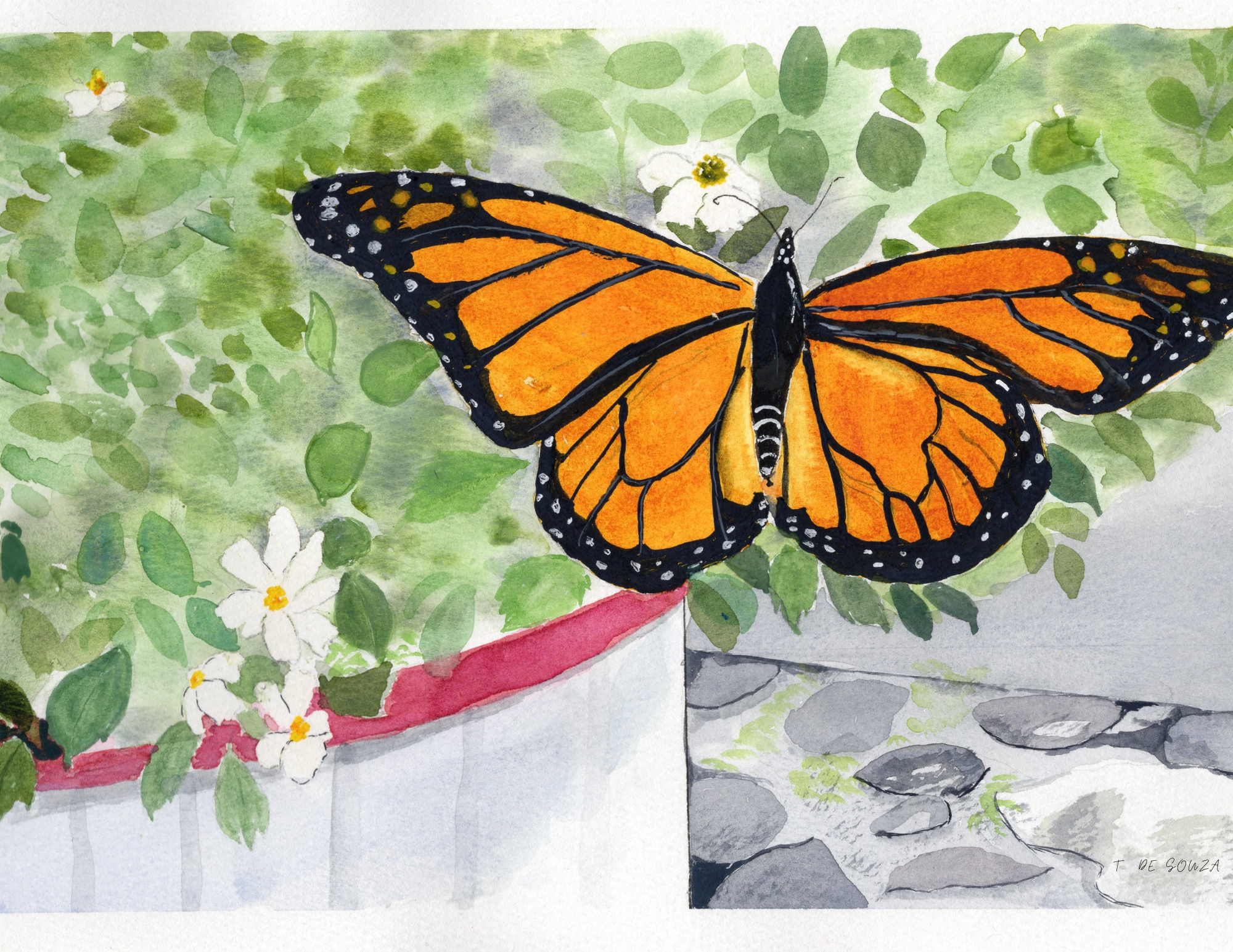 Monarch butterfly.png