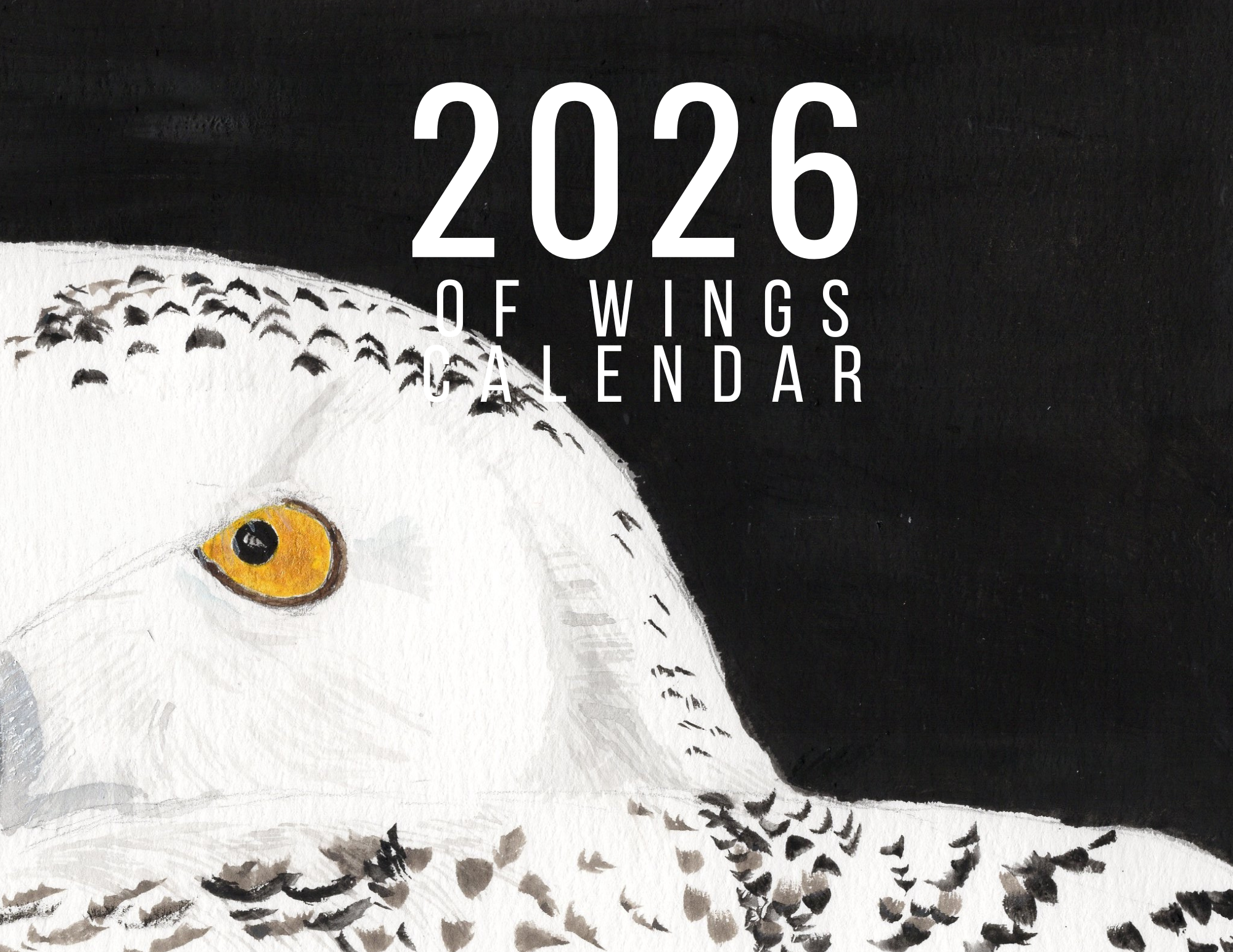 2026 Of Wings Art Calendar