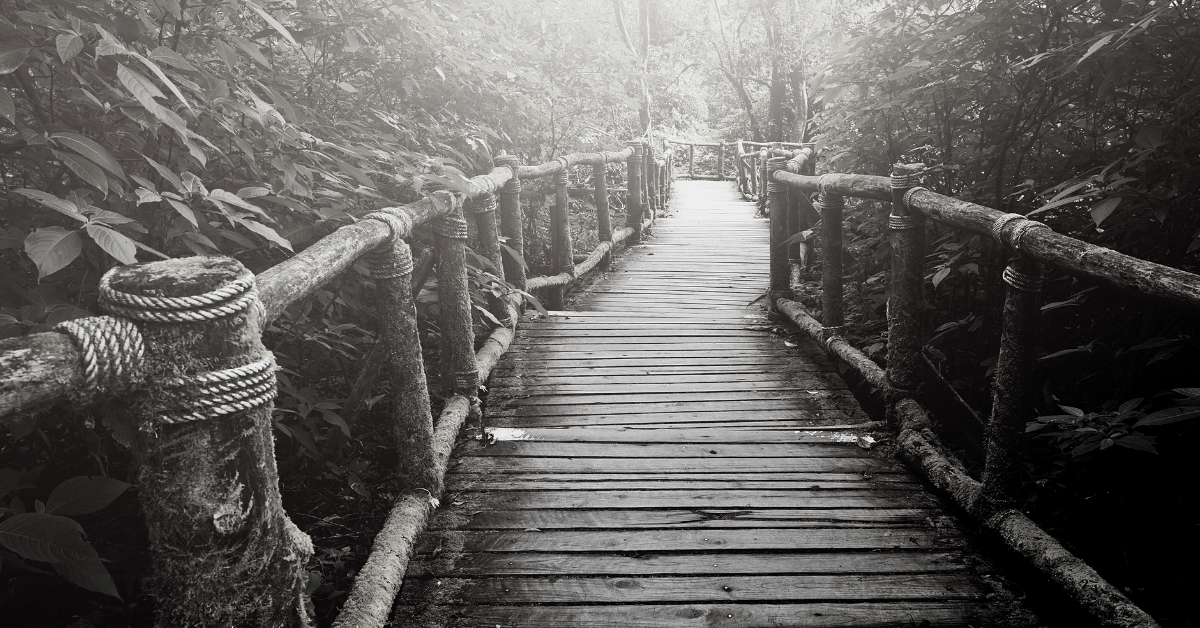 WPR049: How to Use Burnout as a Catalyst for Change with Chris Ducker