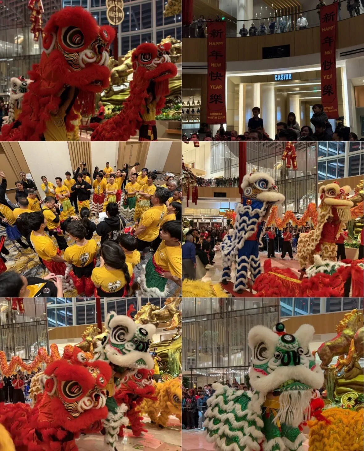 This year CYC performed at the MGM Resort and Casino at National Harbor. CYC celebrated by doing their lion dance performance and going throughout different parts of the hotel to bless and celebrate the shops and parts inside! Thank you to MGM Resort