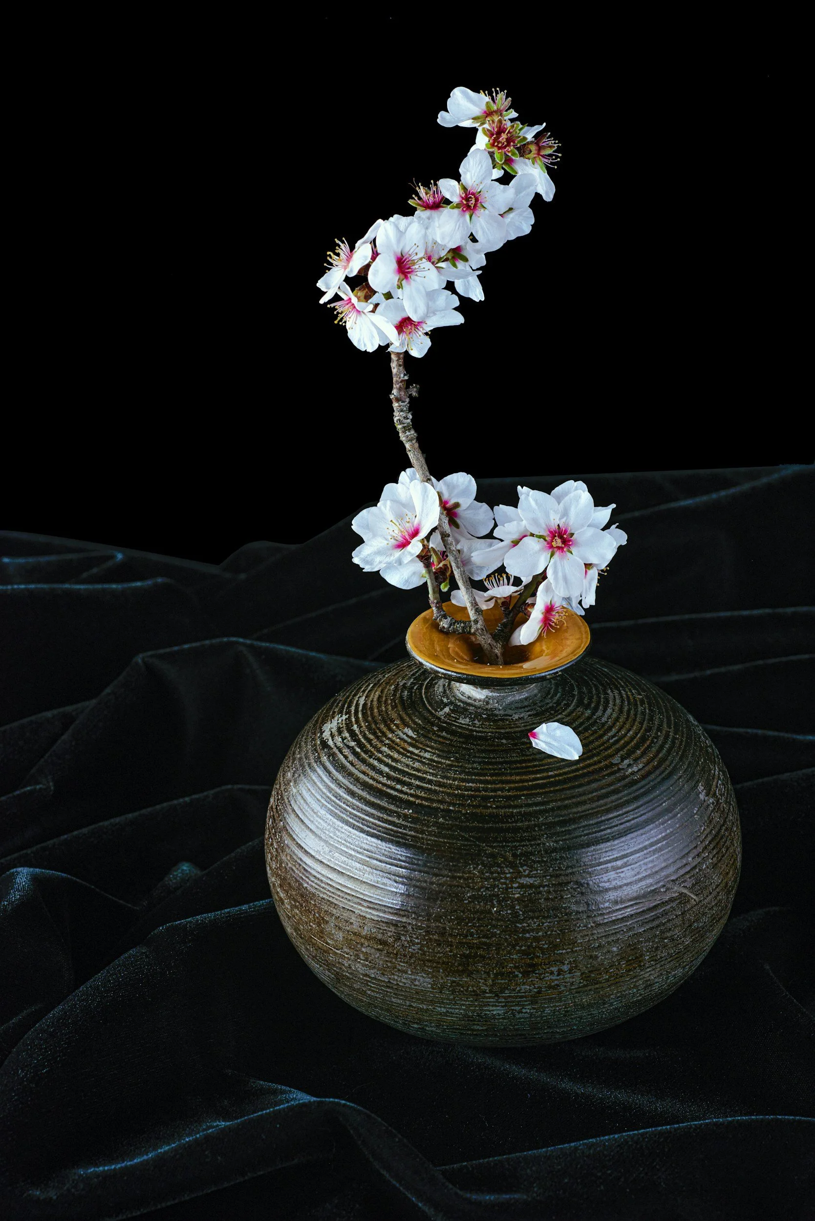 Treasure Sessions: What can Ikebana teach Teams about Creativity and cooperative Perspectives