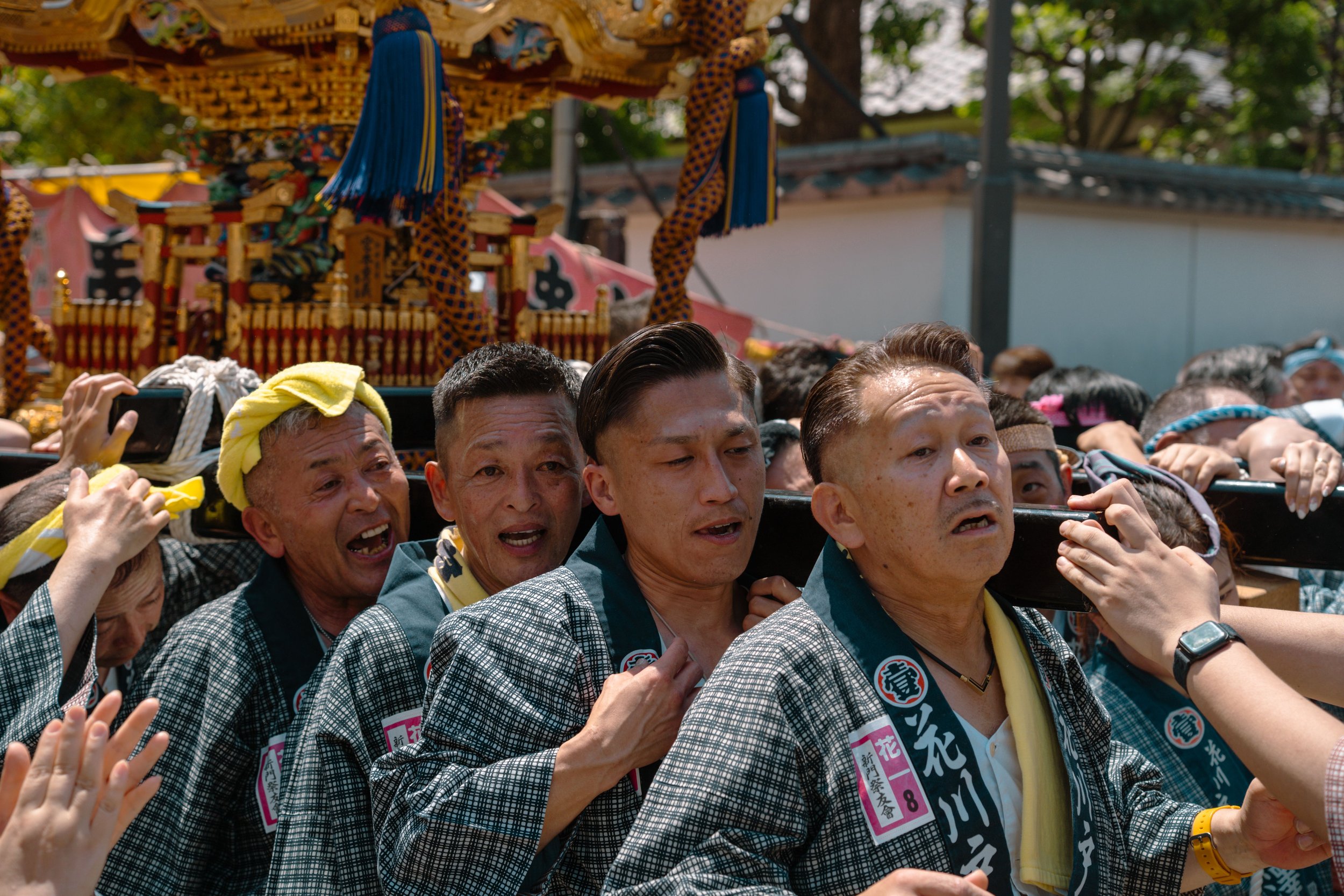 A group of men are carrying a portable shrine in the street and seem to shouting together