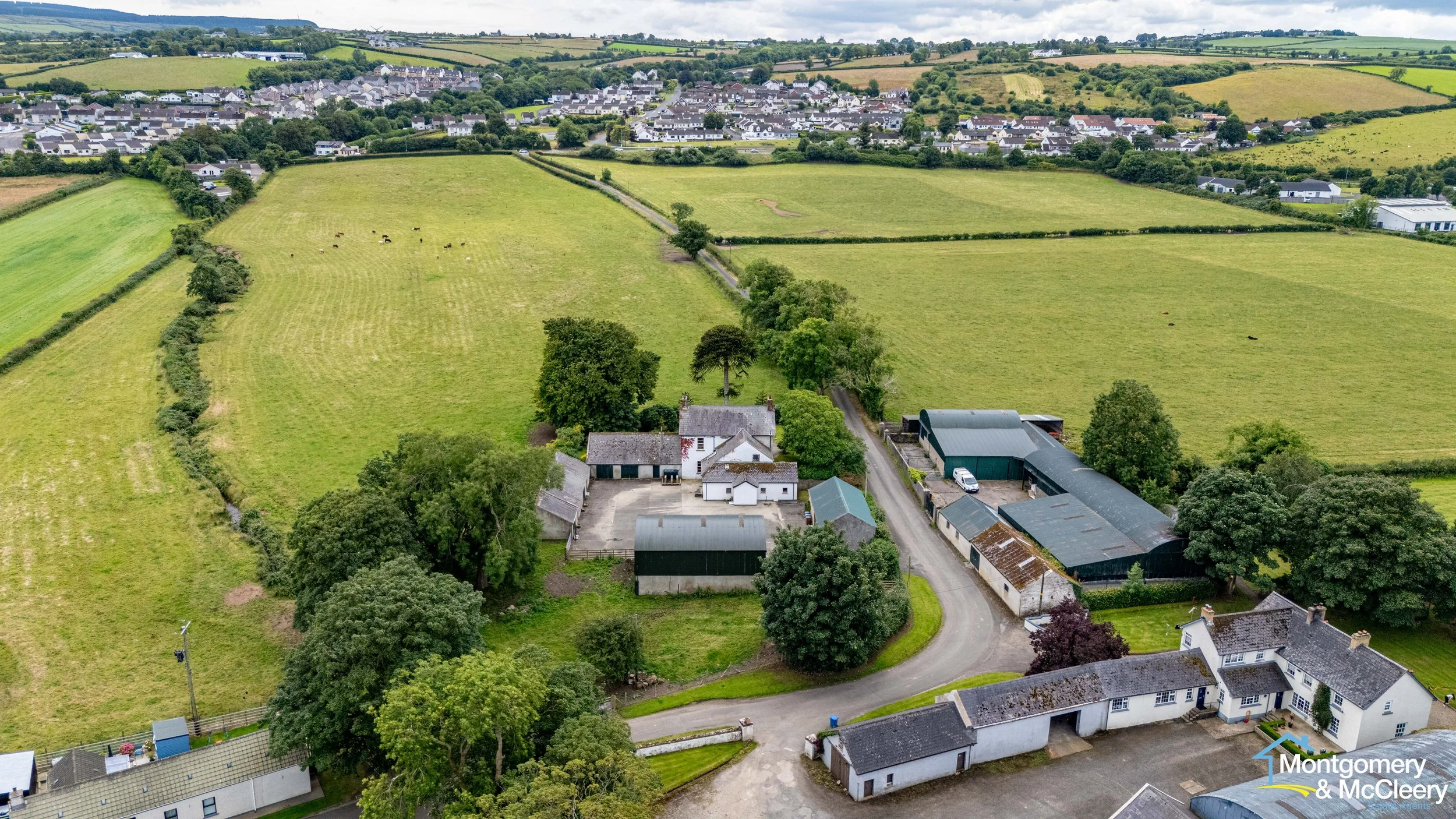 DJI_20240715133628_0253_D.jpg