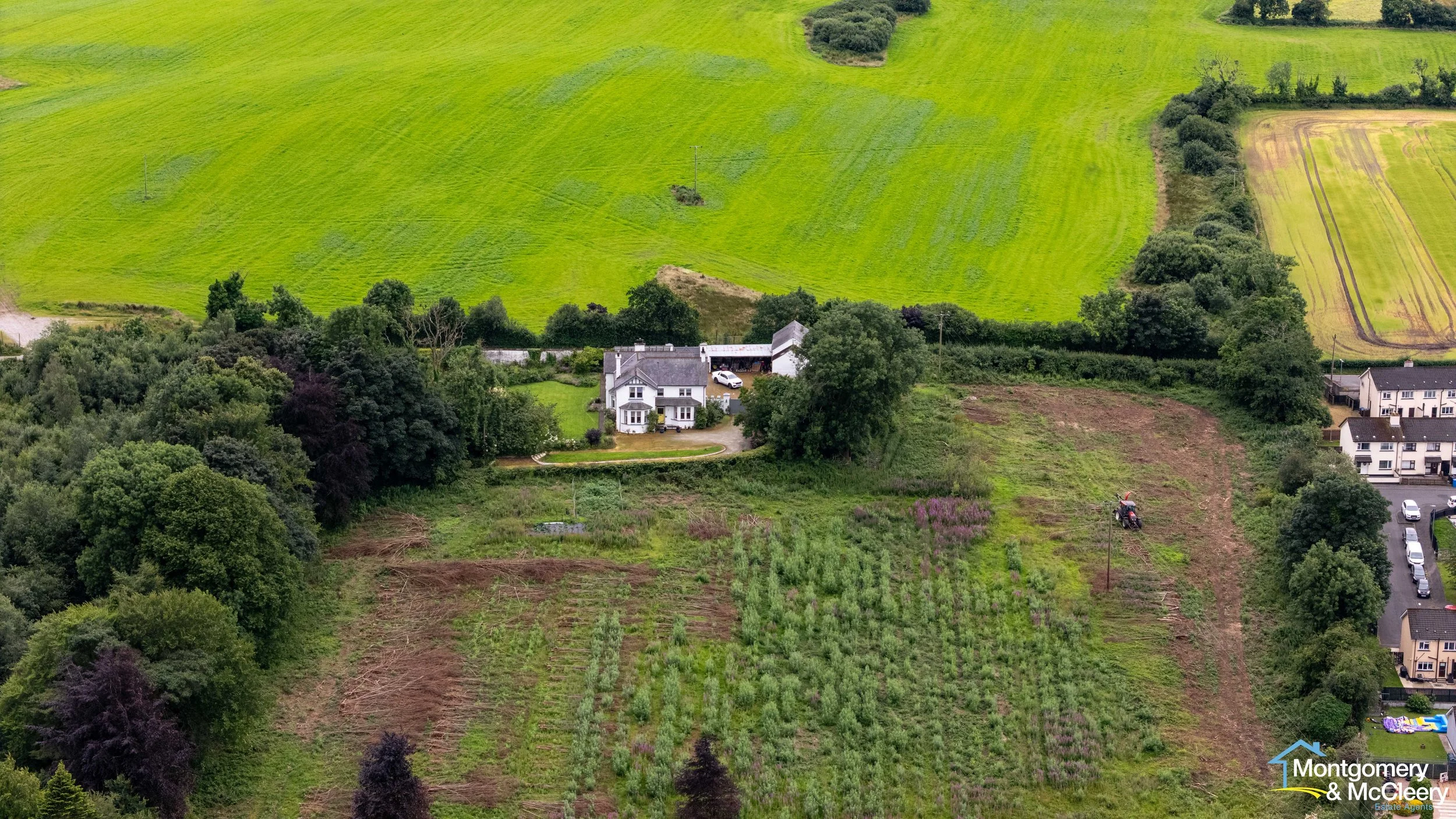 DJI_20260707113545_0017_D.jpg