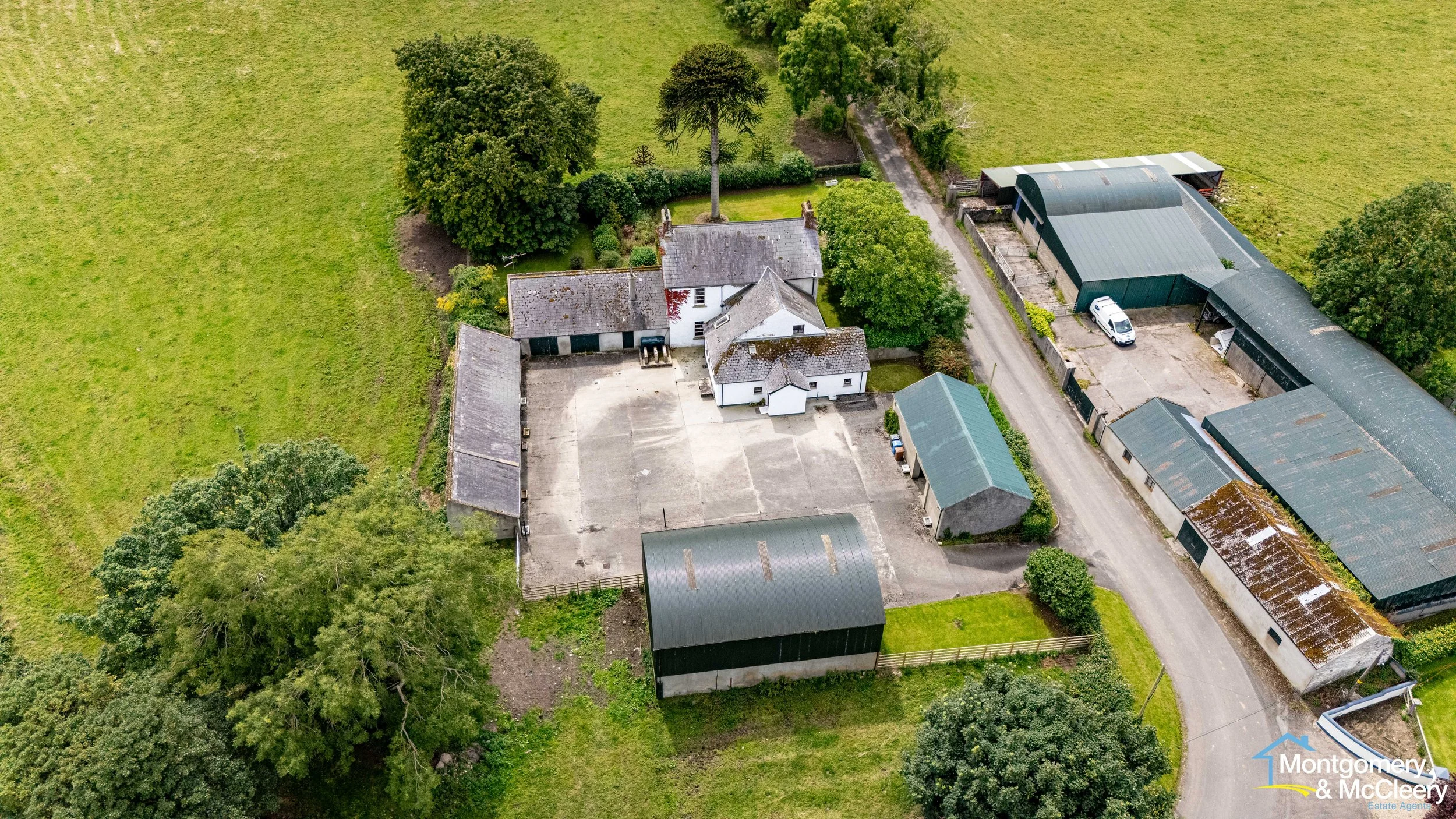 DJI_20240715133320_0230_D.jpg