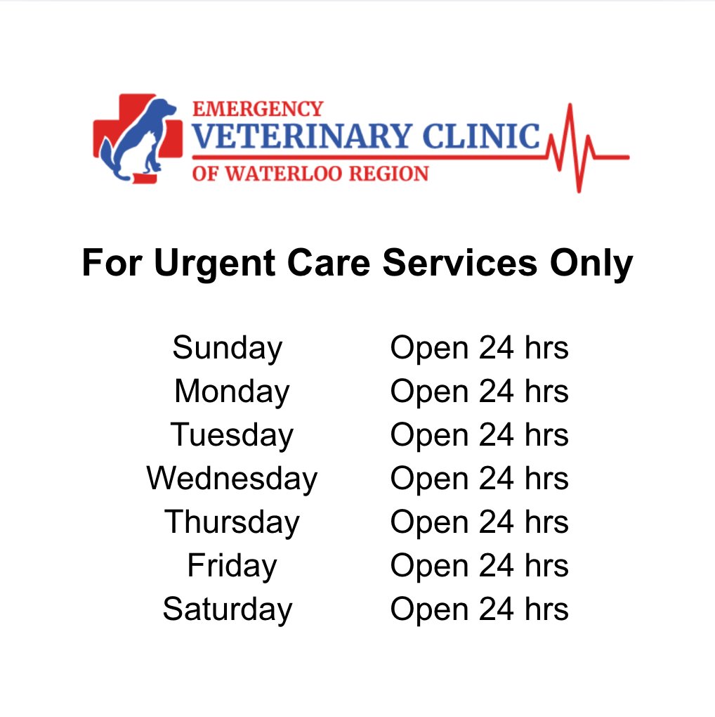 Guelph Animal Hospital