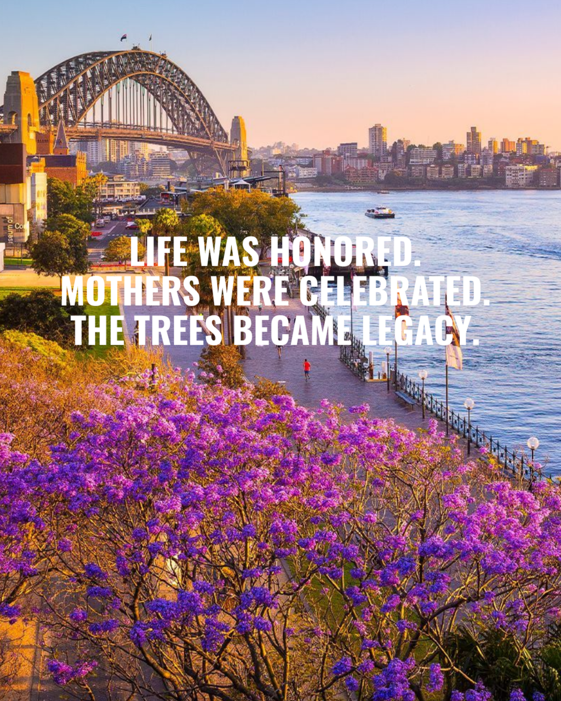 A scenic view of a riverwalk in Sydney, with the Sydney Harbour Bridge in the background and blooming purple trees in the foreground. The scene is during sunset with a few people walking along the riverwalk.