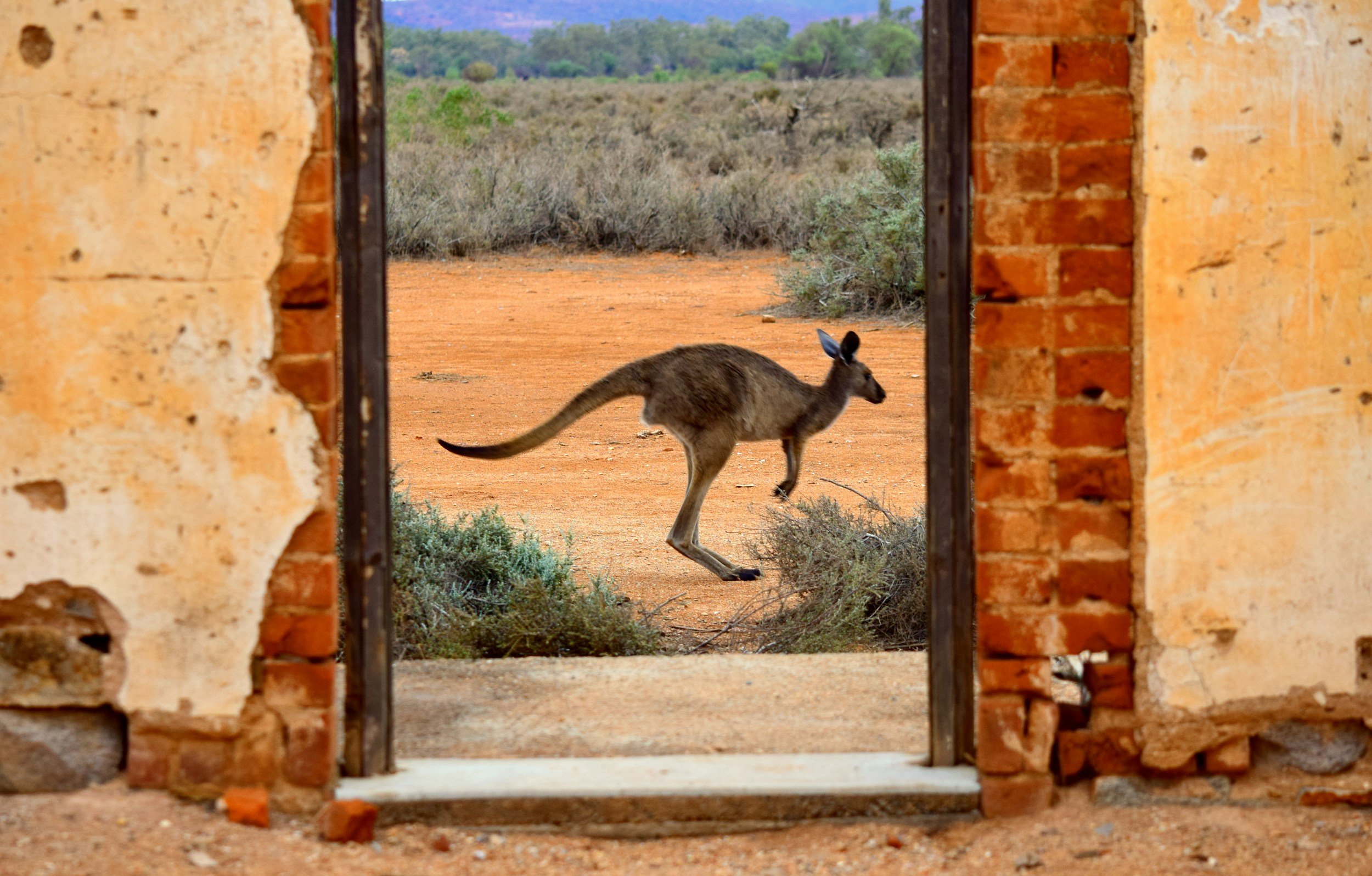 VISITOR VISA AUSTRALIA