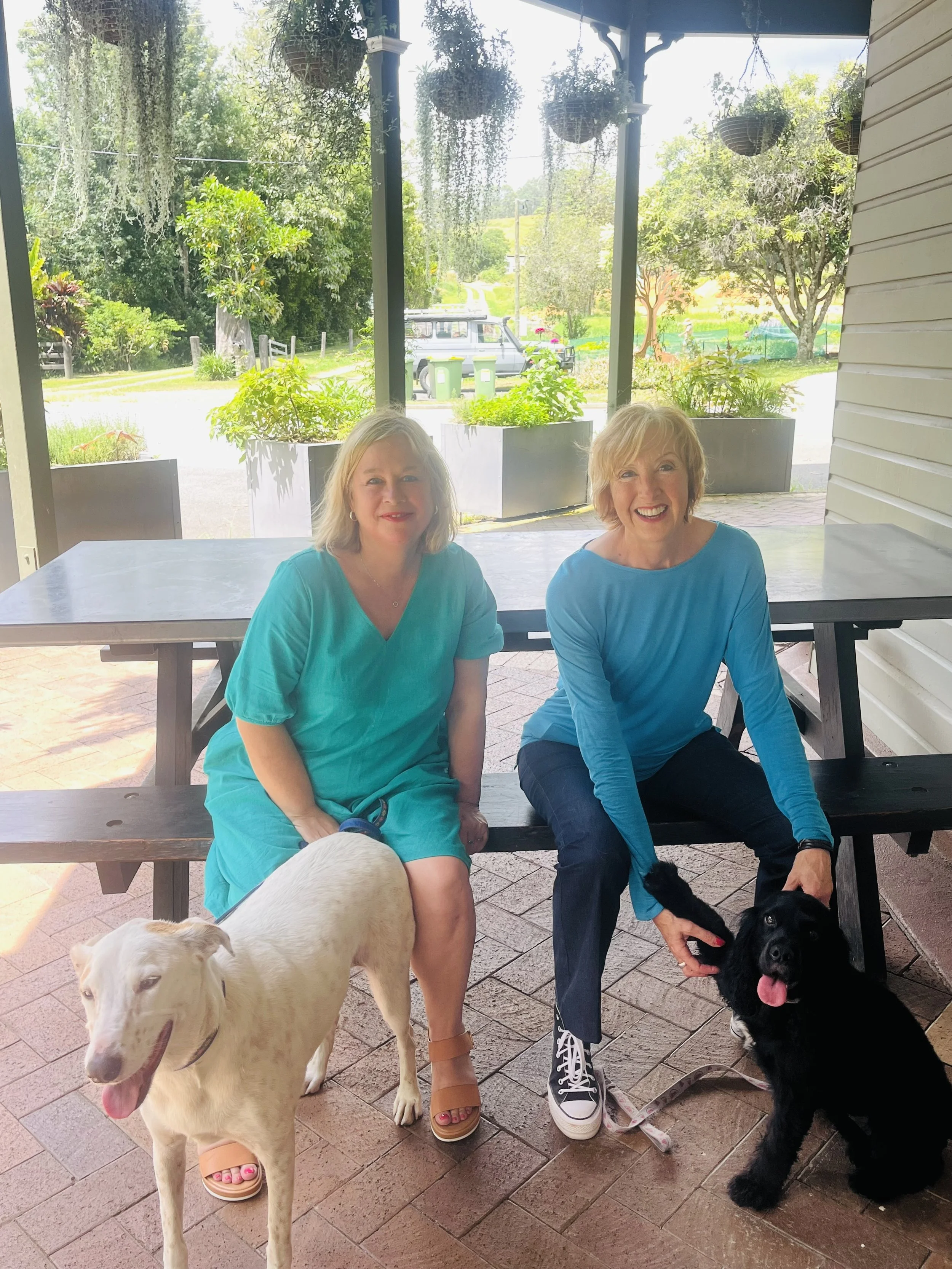 Two women sitting at a picnic table outdoors, each with a dog. The woman on the left has blonde hair and wears a turquoise dress, with a light-colored dog in front of her. The woman on the right has blonde hair and wears a blue long-sleeved shirt with dark pants and sneakers, with a black dog sitting next to her. The background shows a patio, green plants in large planters, trees, and a street with a car.