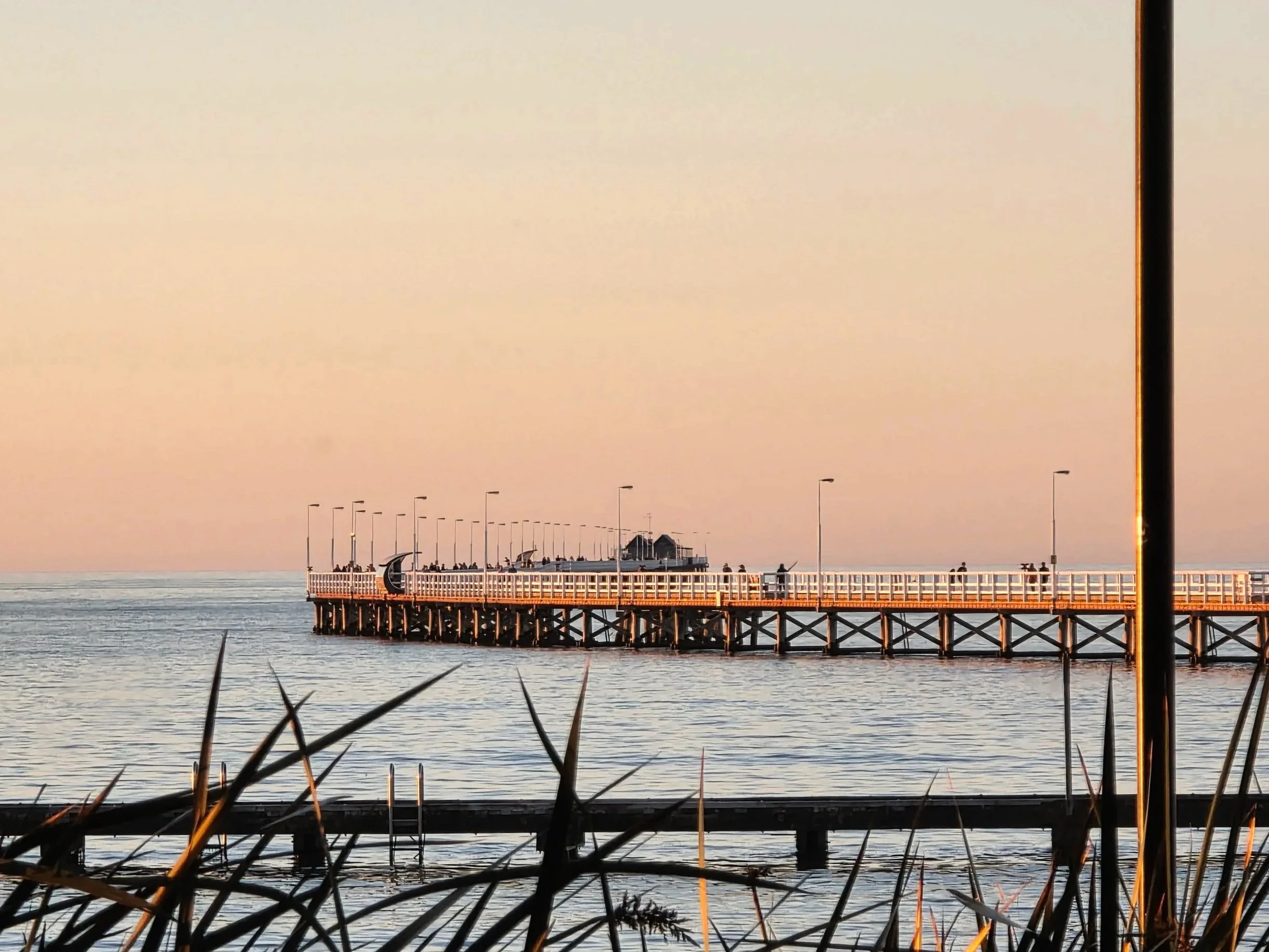 A long pier extending into the water at sunset, with a small building at the end, lined with street lamps, and a few people walking or sitting on it; reeds are in the foreground.