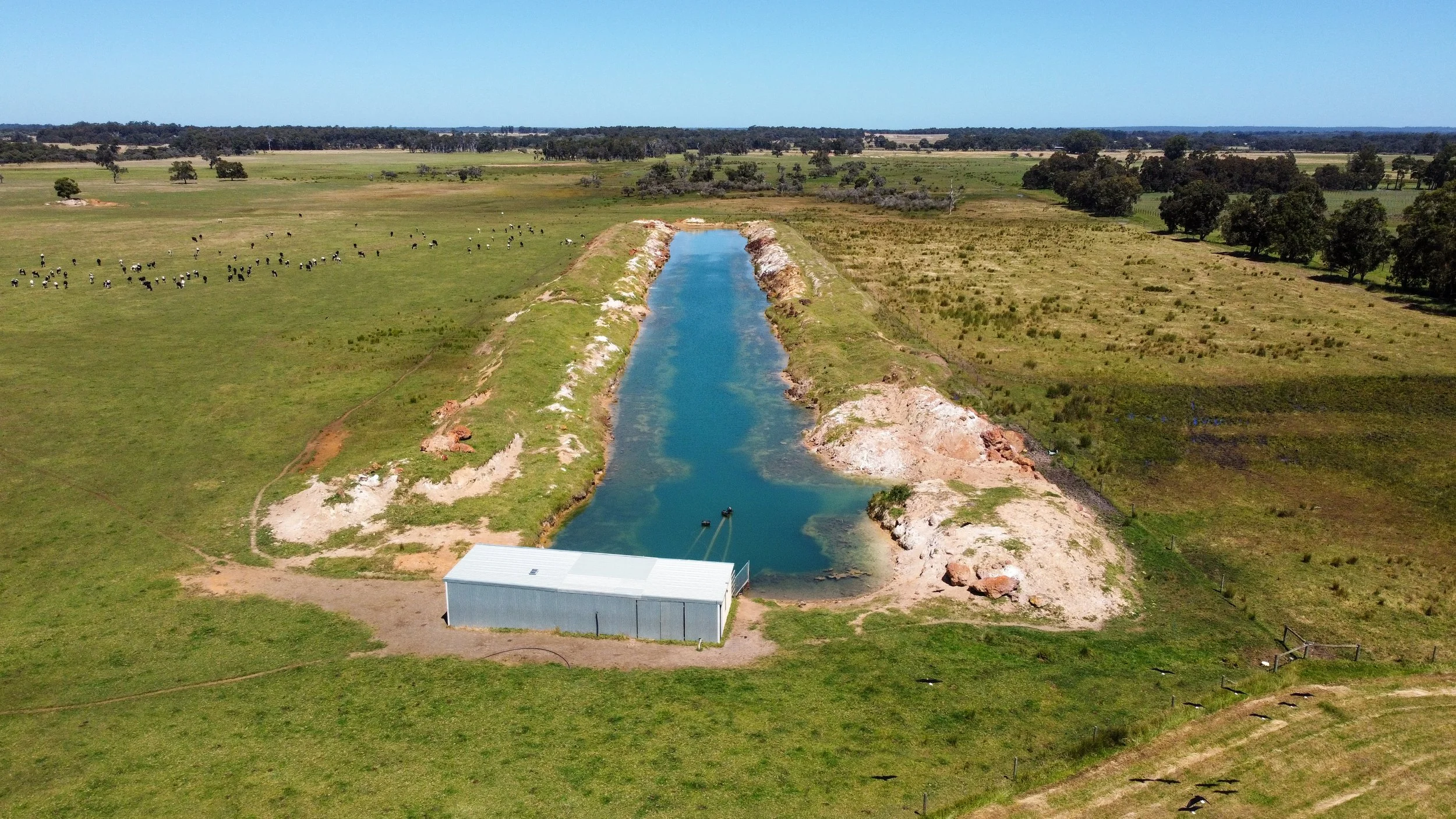Aerial view of a farm pond with a metal shelter structure nearby, surrounded by green fields, with cattle grazing in the distance and trees on the horizon.