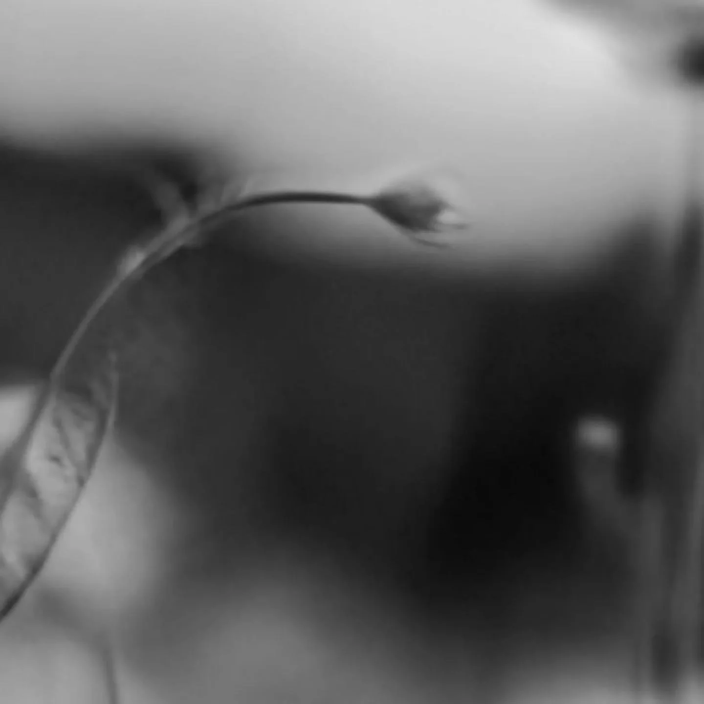 Our new era is almost here
Launching 27.02.2026 ✨️