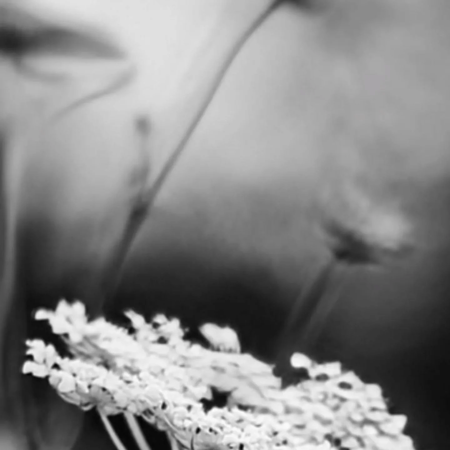 Our new era is almost here
Launching 27.02.2026 ✨️