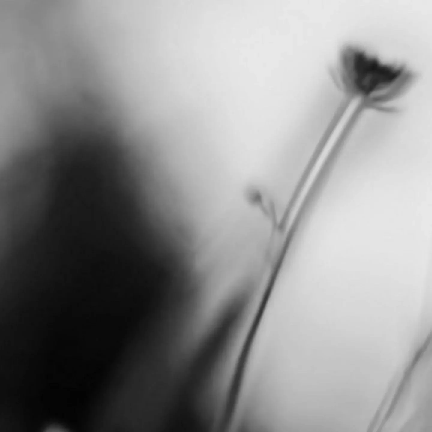 Our new era is almost here
Launching 27.02.2026 ✨️