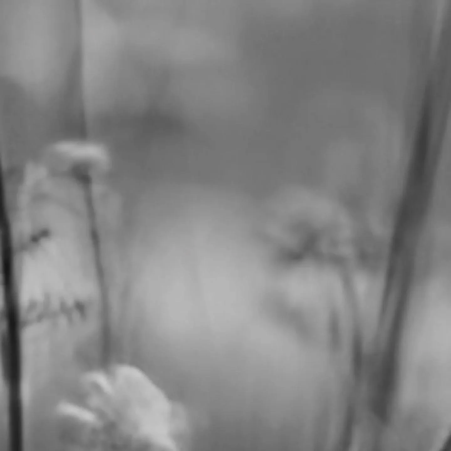 Our new era is almost here
Launching 27.02.2026 ✨️