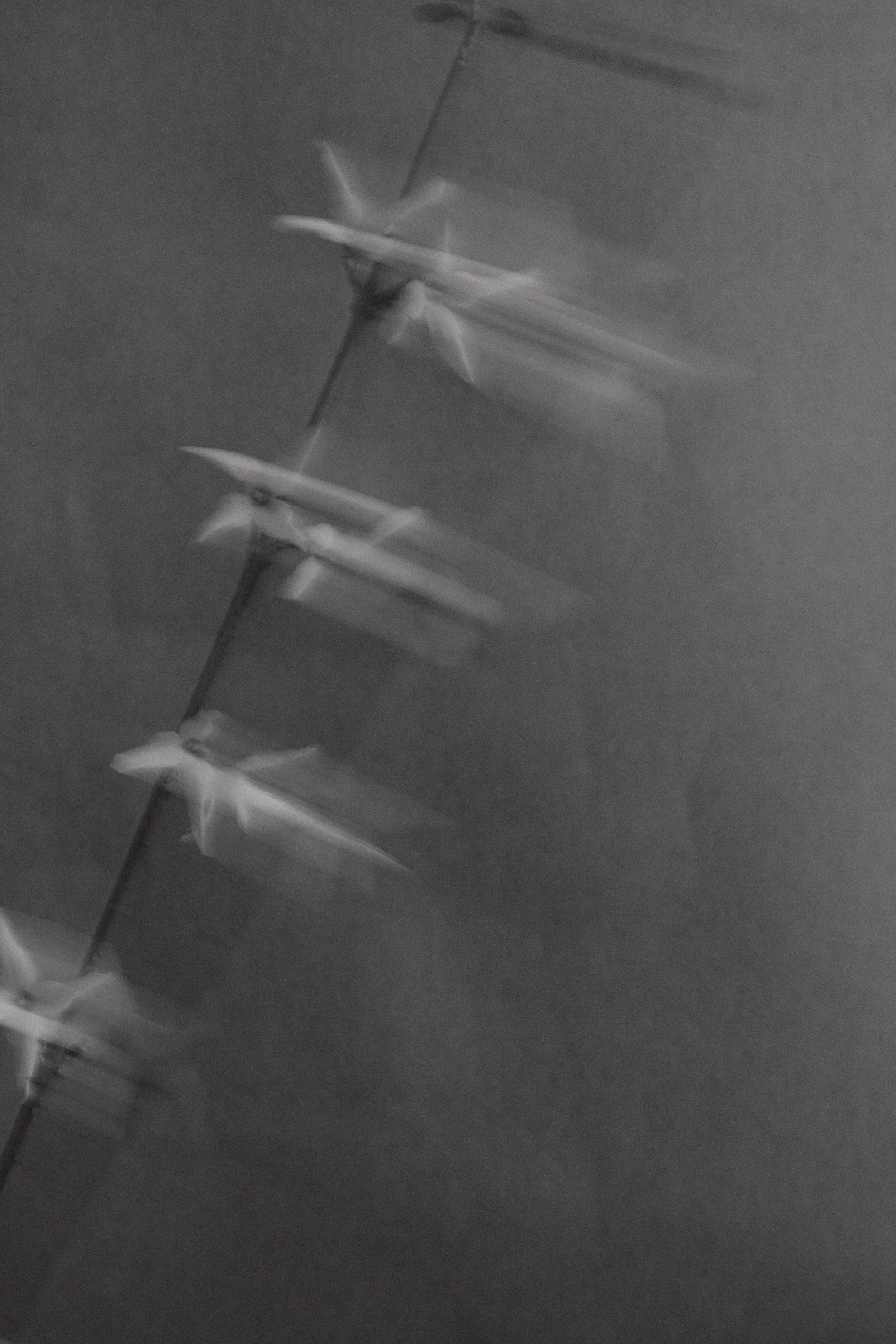 Blurry black-and-white aerial photograph of several airplanes in formation flying in the sky.