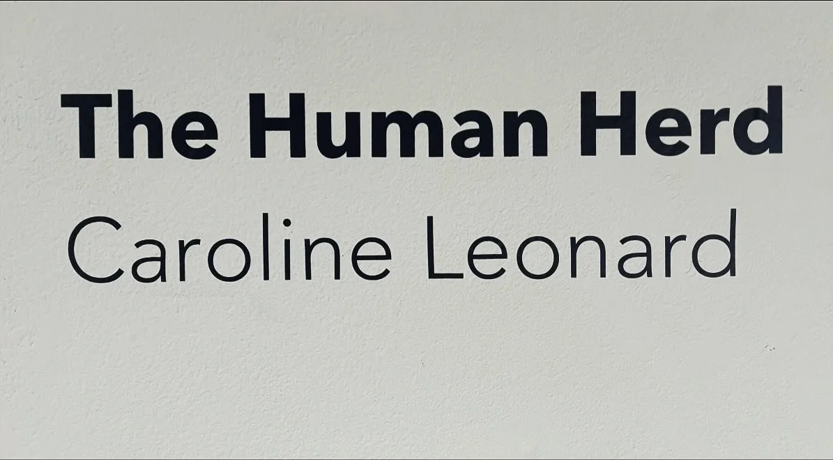 artist statement for my senior exhibition &ldquo;The Human Herd&rdquo; ˚⊹♡ this work along with many other amazing artists will be on display until 11/24 so go check it out if you get the chance :3