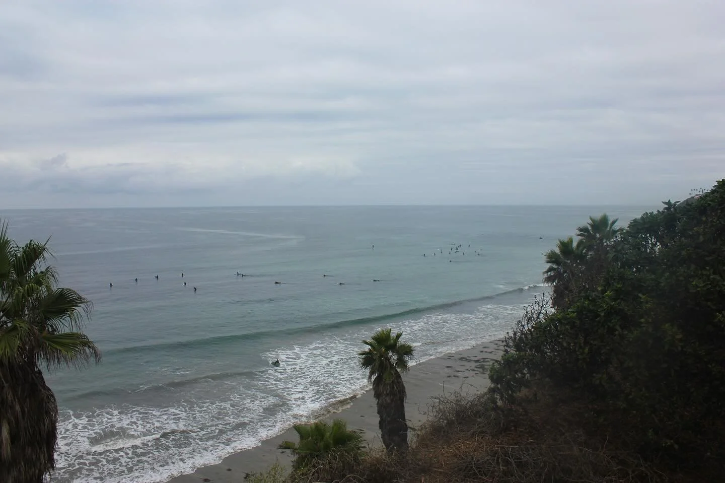 January 2026 availability: 

Monday: Open for scheduling 
Tuesday: Limited availability 
Wednesday: Limited availability
Thursday: Limited availability 
Friday: Limited availability
Saturday: Open for scheduling 
Sunday: Closed 

Serving coastal &amp