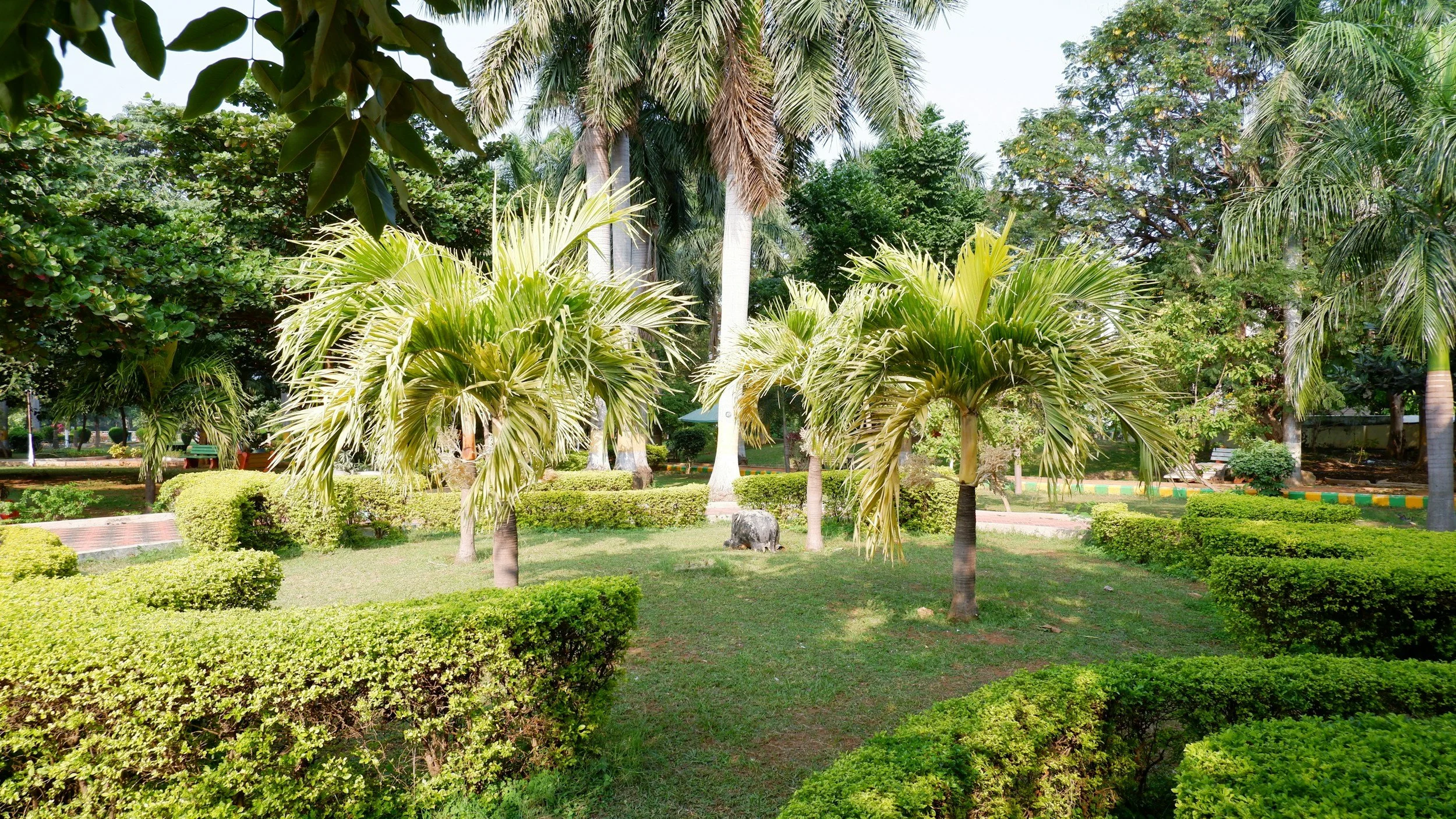 A lush, green park with trimmed bushes, palm trees, and other tall trees under a clear sky.