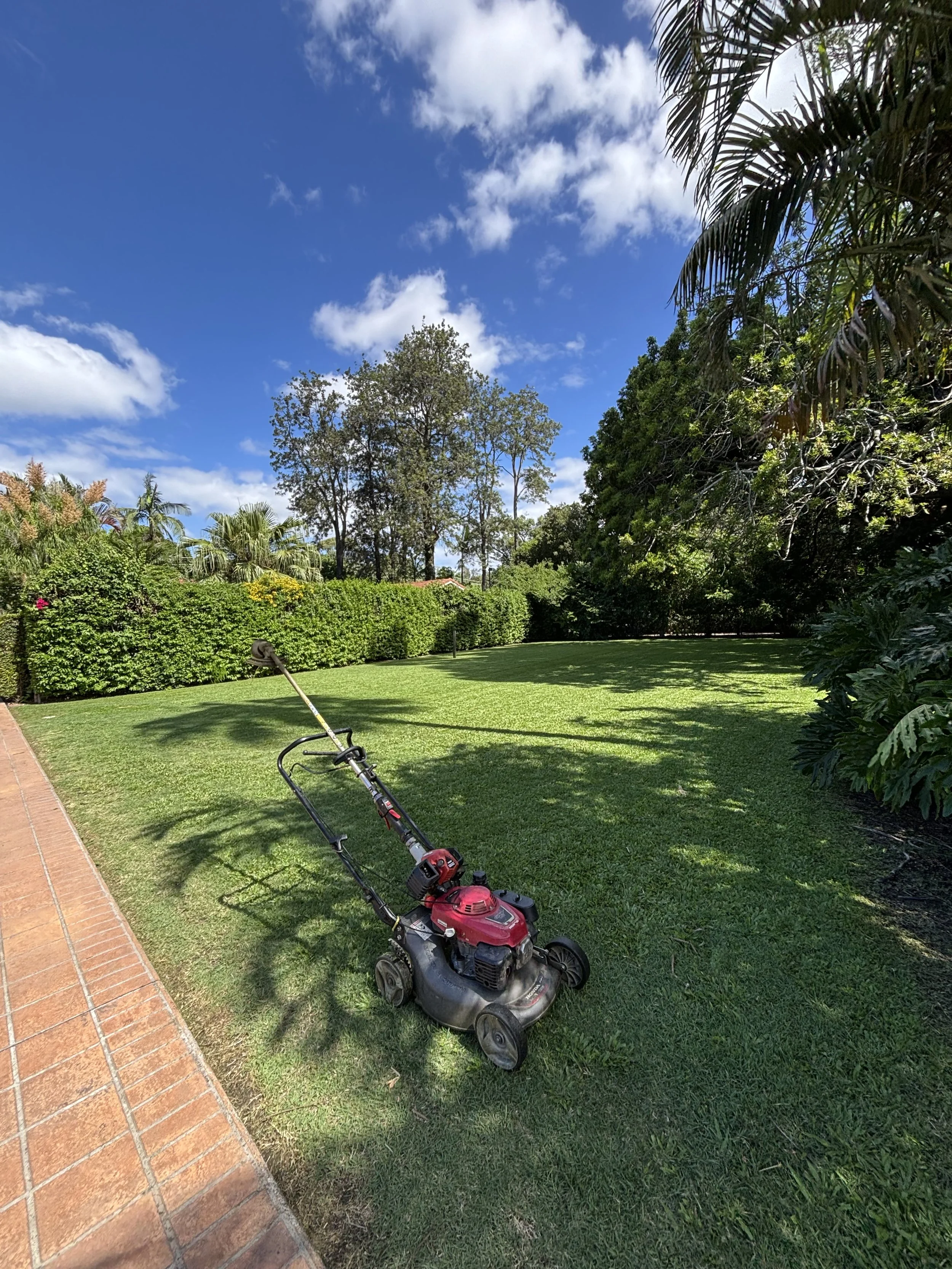 Lawn and Garden care